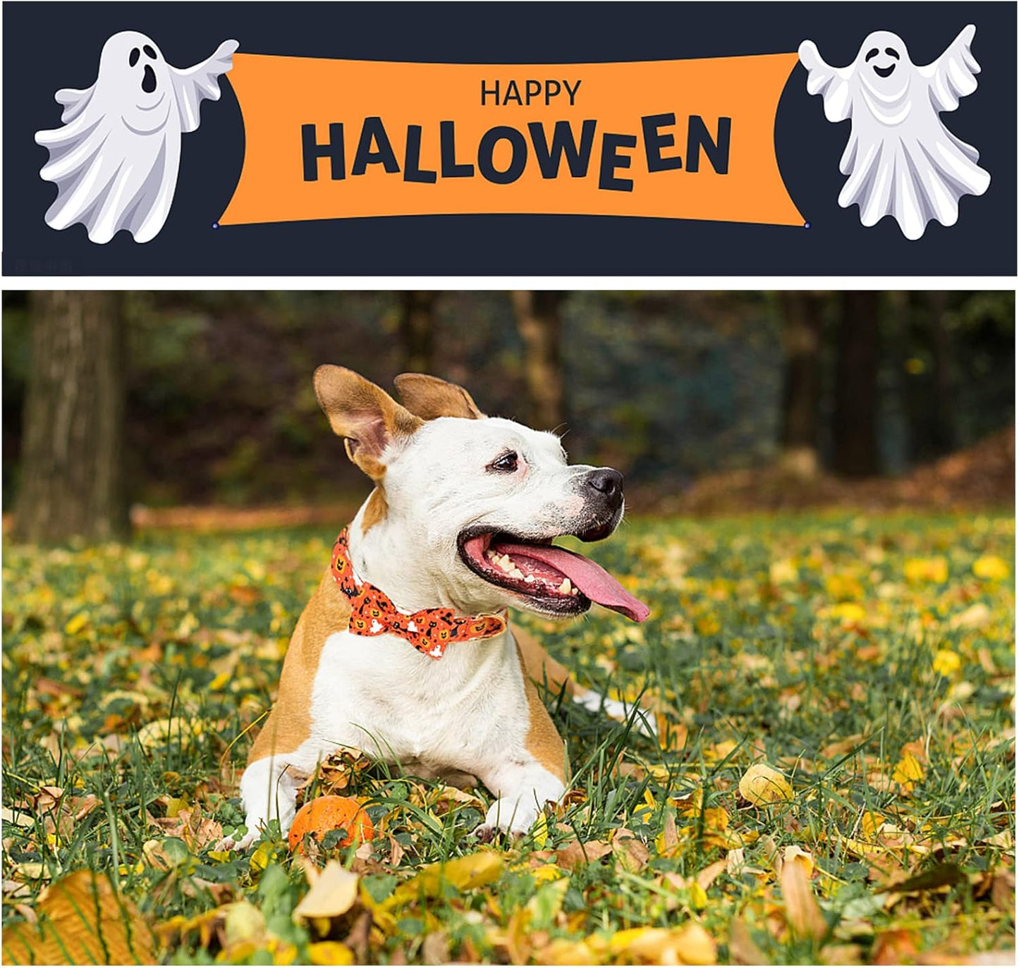 Unique style paws Halloween Dog Collar with Bow Tie Cotton Adjustable Puppy Collar for Small Medium Large Dogs-XS