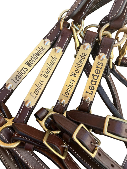Leaders 3/4" Leather Halter for Horses with Customized Engraved Name Plate Brown Leather with Solid Brass Hardware