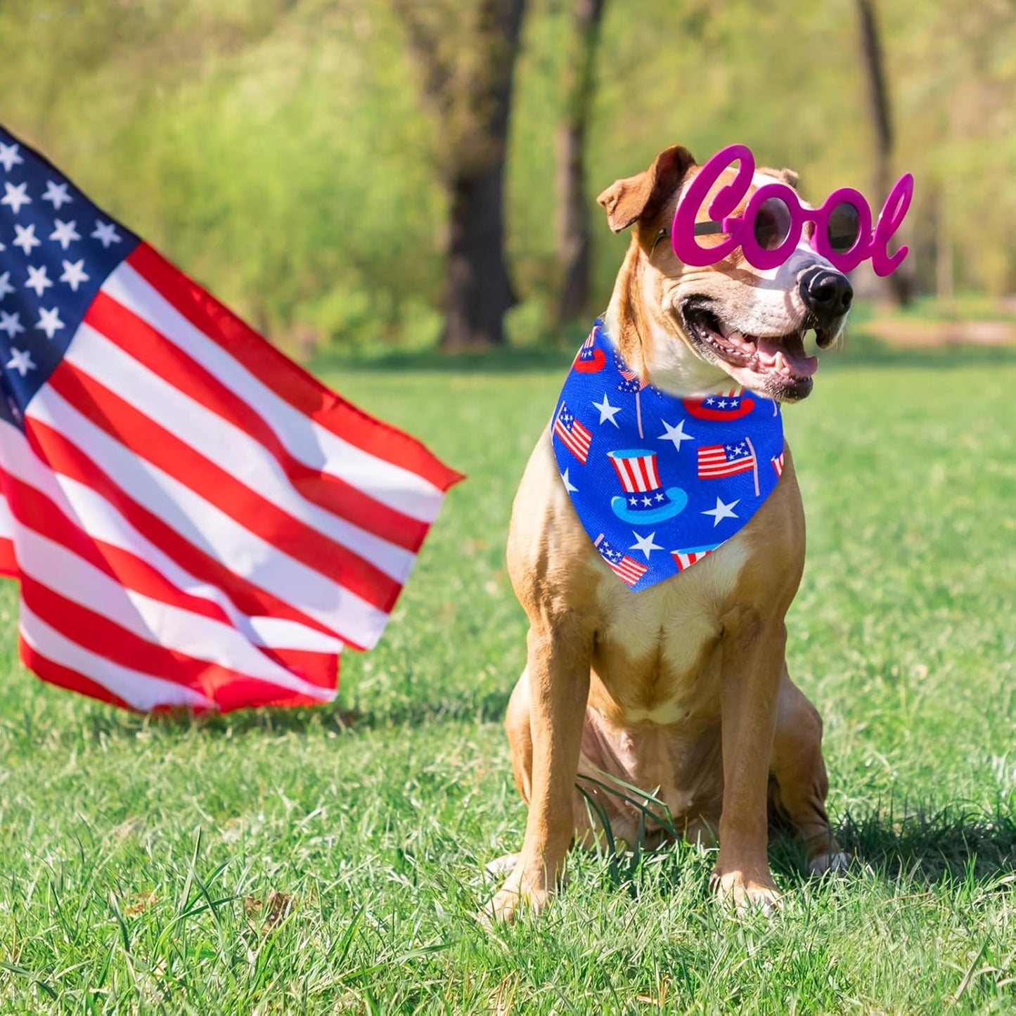 72 Pcs Veterans Day Dog Bandanas Bulk Patriotic Triangle Scarf Cat Puppy Bibs Scarf Blue White and Red Pet Bandanas for Puppy Cat Birthday Party Costume