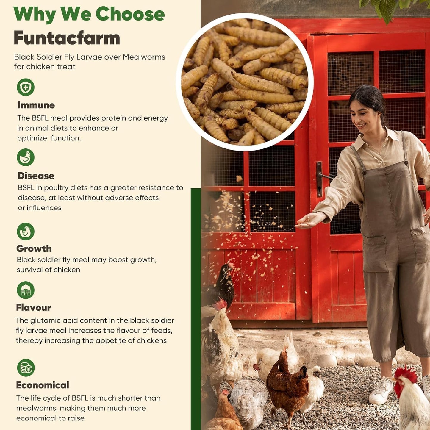 10LB Dried Black Soldier Fly Larvae for Chickens, High Protein Chicken Feed Superior to Meal Worms for Wild Birds & Chicken Treats for Laying Hens