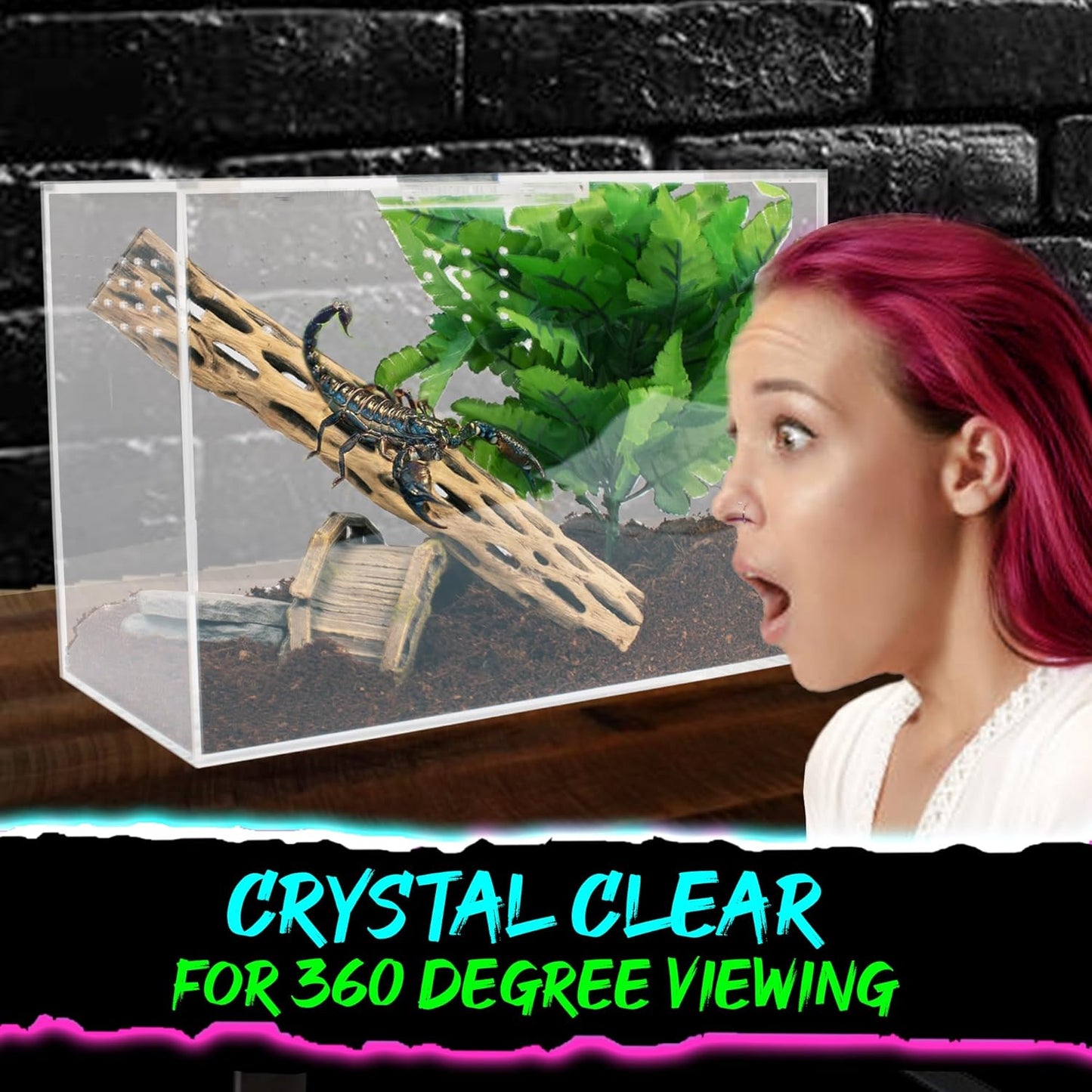 Tarantula Enclosure XL (10”x7”x14”) Reptile Terrarium w/Sliding Magnetic Door-Great Reptile Tank for Terrestrial or Arboreal Animals- Acrylic Terrarium for Juvenile or Adult Spiders- Hermit Crab Cage