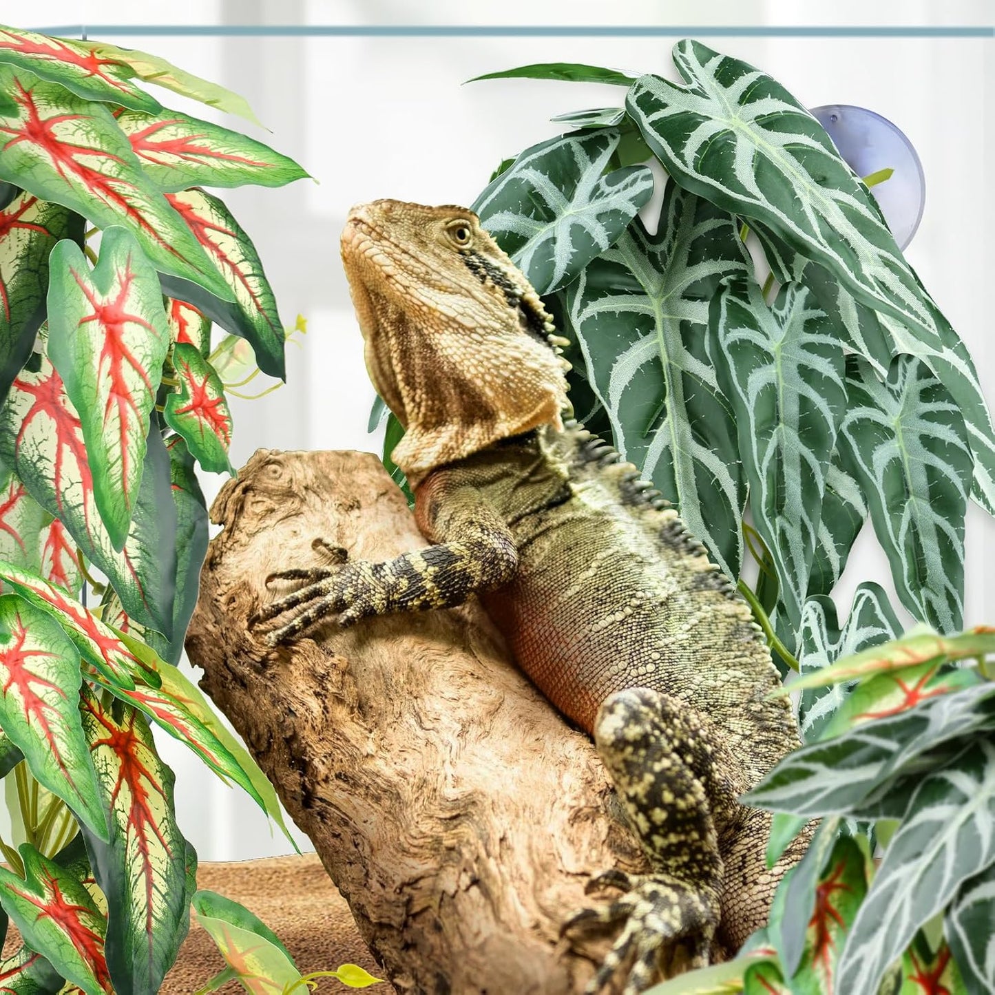 2 Pack Reptile Plants for Terrarium, Artificial Leaves Habitat Decorations with Suction Cups, Terrarium Hanging Plants Vines for Bearded Dragons Lizards Snake Geckos Frogs - red and White
