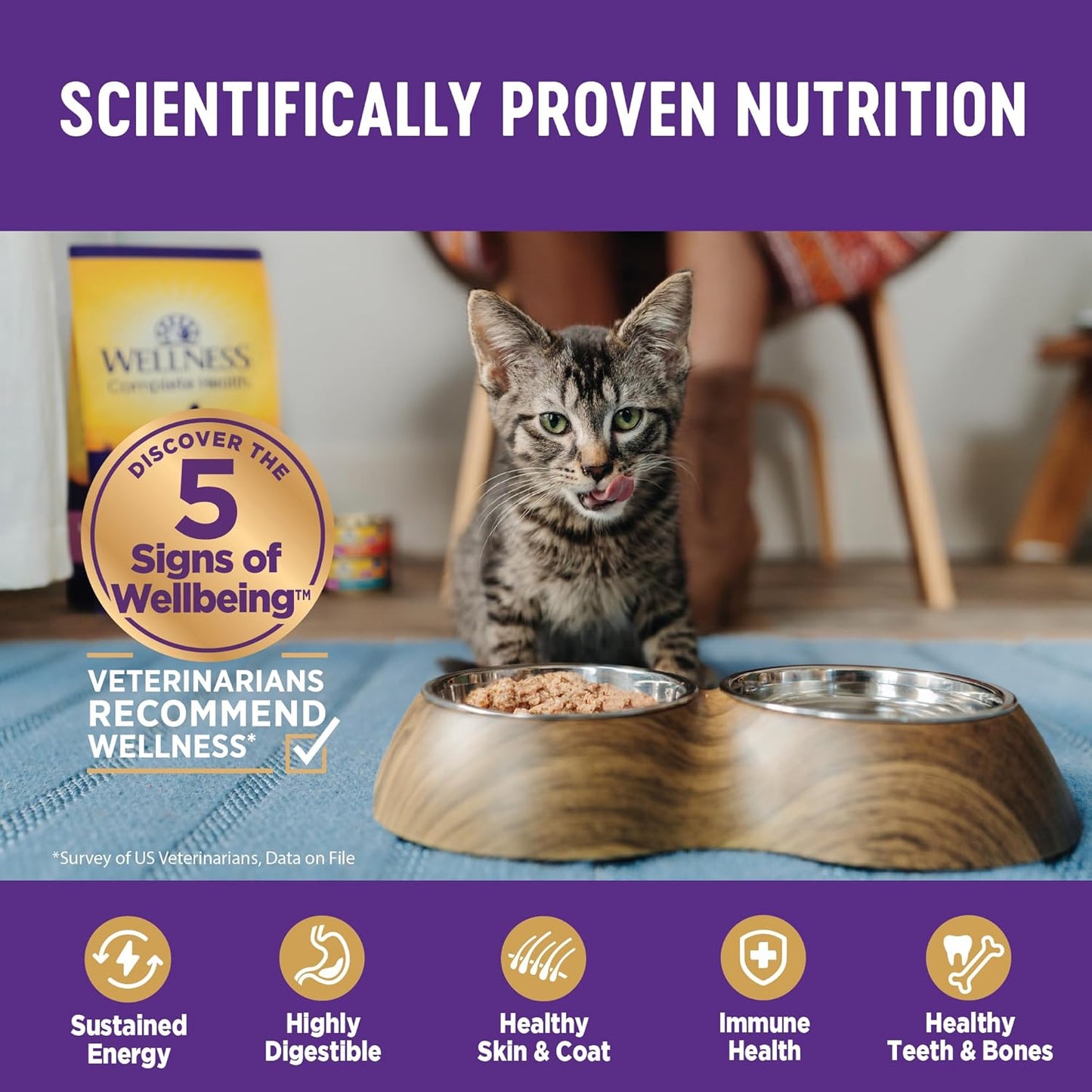 Wellness Complete Health Cubed Adult Wet Cat Food, Natural, Protein-Rich, Grain Free, 5.5 Ounce, 24 Pack, (Turkey Entrée)