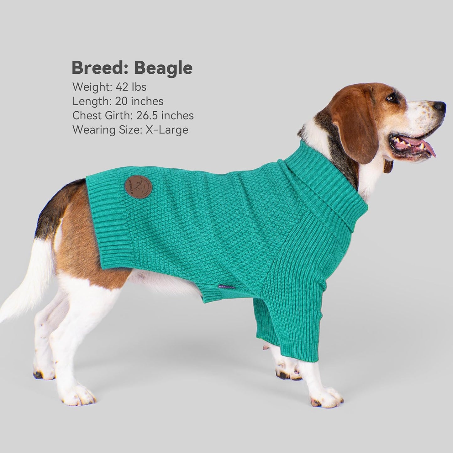 cyeollo Warm Stretchy Sweaters for Medium to Large Dogs Boy & Girl, Pullover Knitted Thermal Winter Big Dog Clothes with Sleeves Turtleneck Pet Beagle Border Collie Apparel, Aqua Green XXL