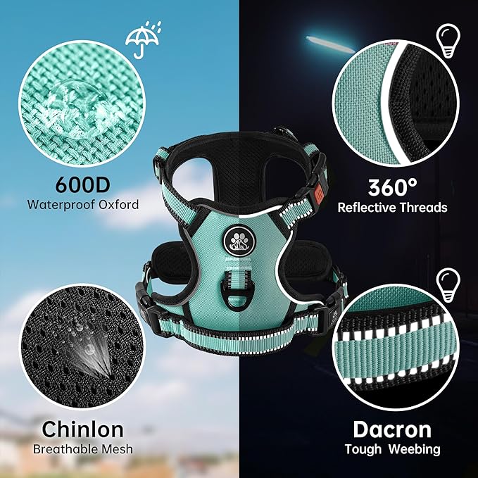 NESTROAD No Pull Dog Harness,Adjustable Oxford Dog Vest Harness with Leash,Reflective No-Choke Pet Harness with Easy Control Soft Handle for Small Dogs(Small,Turquoise)