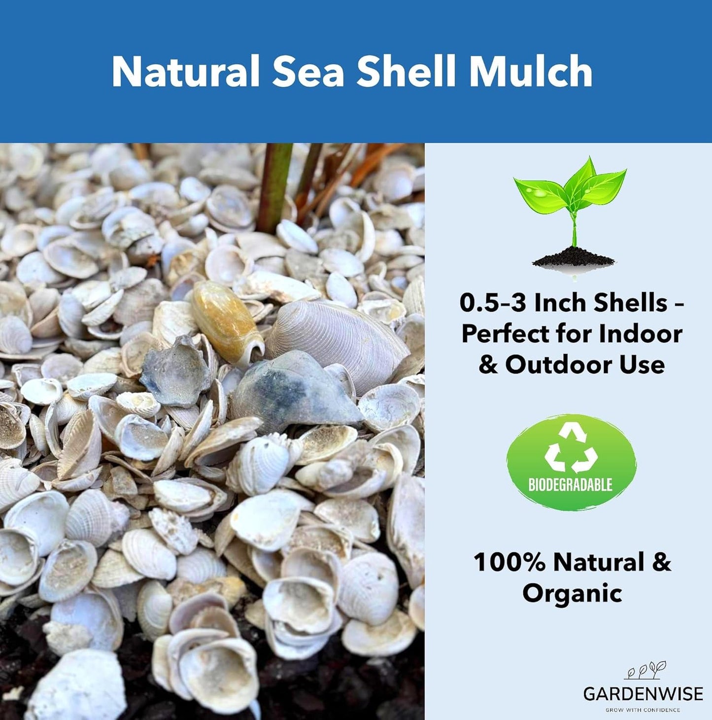 Natural Organic Sea Shell Mulch for Gardens and Landscaping – Decorative and Nutrient-Rich, 0.5–3-Inch Shells, Perfect for Indoor and Outdoor Use (0.3 CF - 8 L - 9 QTS)