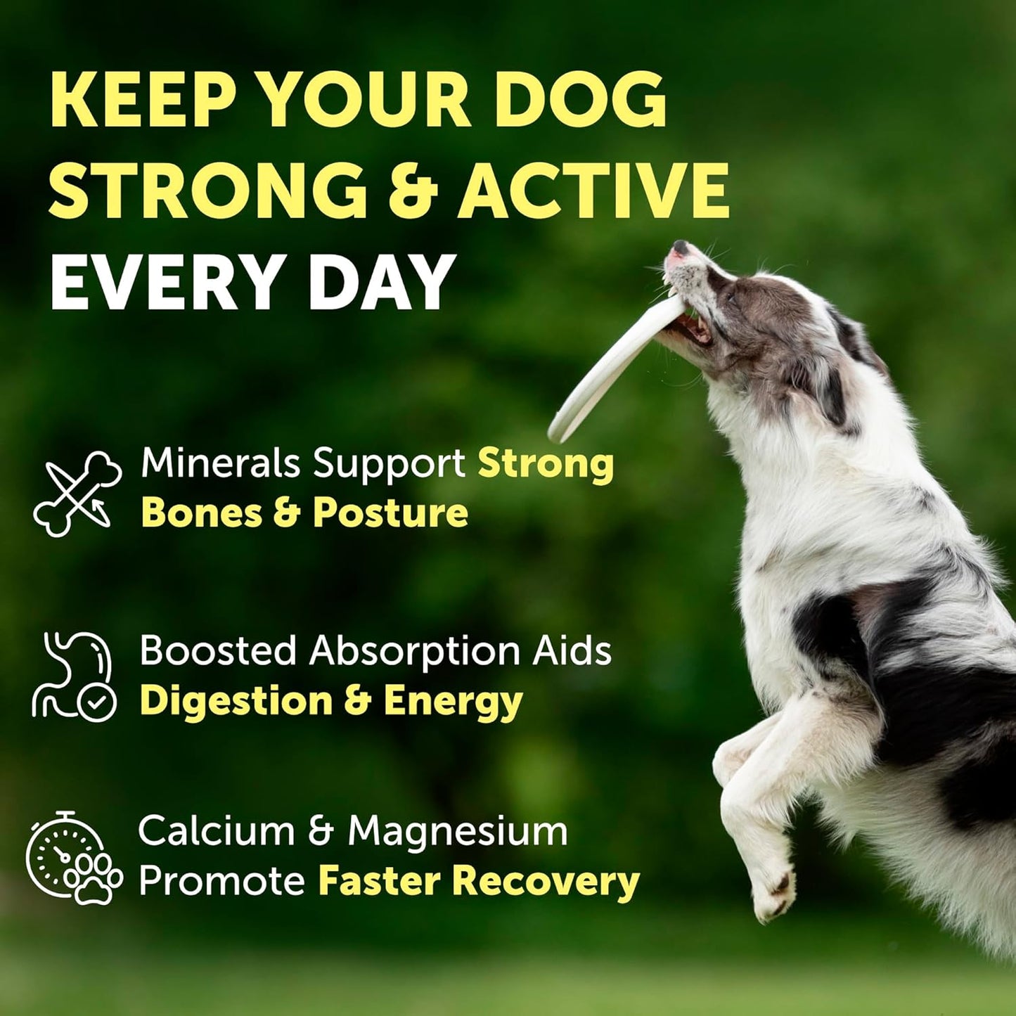 Nature's Protection Dog Joint Supplement - Mineral Powder Supplement for Pet Muscle Recovery, Stronger Bones, Immune & Gut Health for Dogs & Cats of All Breeds, 9 Oz