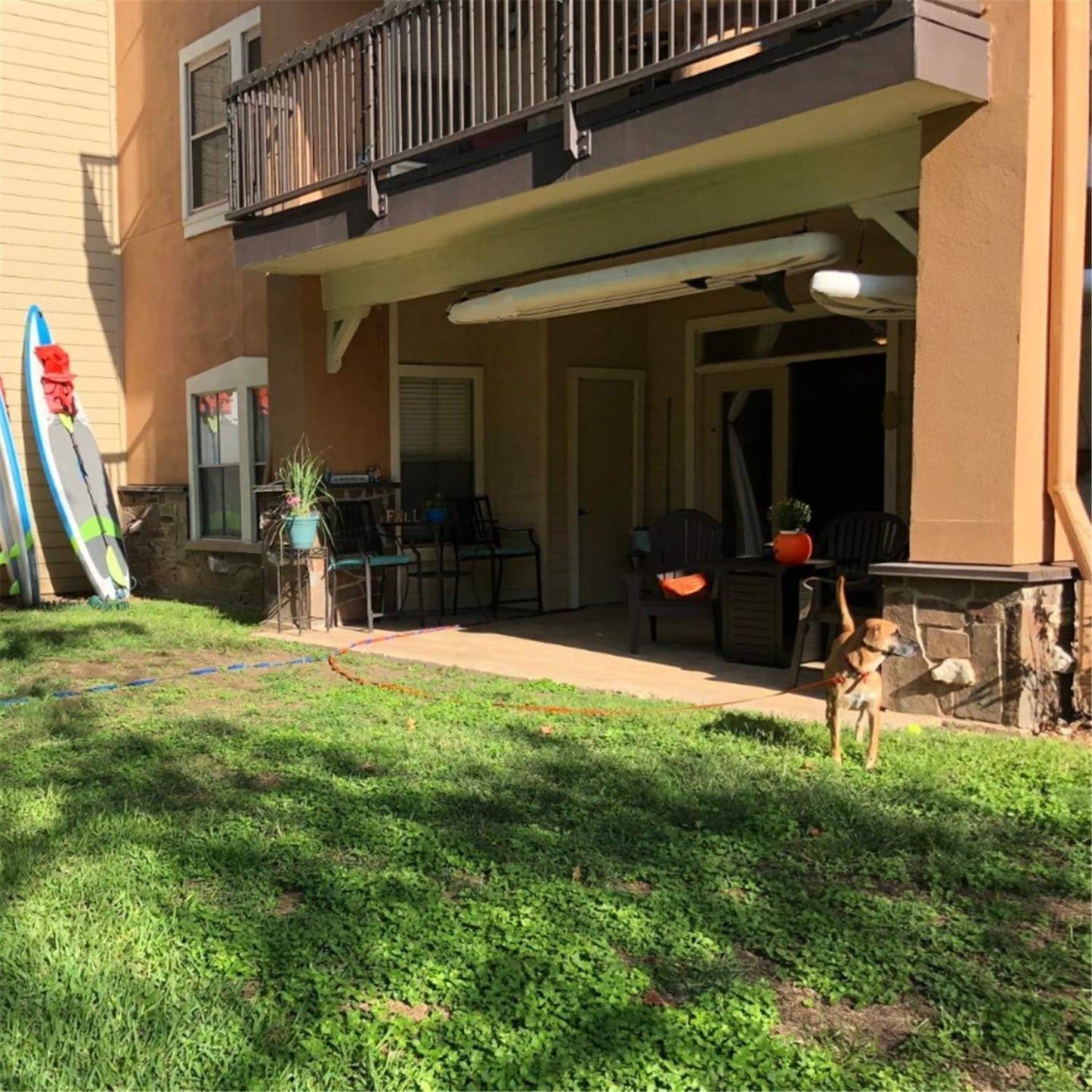 Dog/Puppy Obedience Recall Training Agility Lead - 15ft 20ft 30ft 40ft 50ft Training Leash - Great for Play, Camping, or Backyard - Pink 50ft (Pink, 50 Feet)