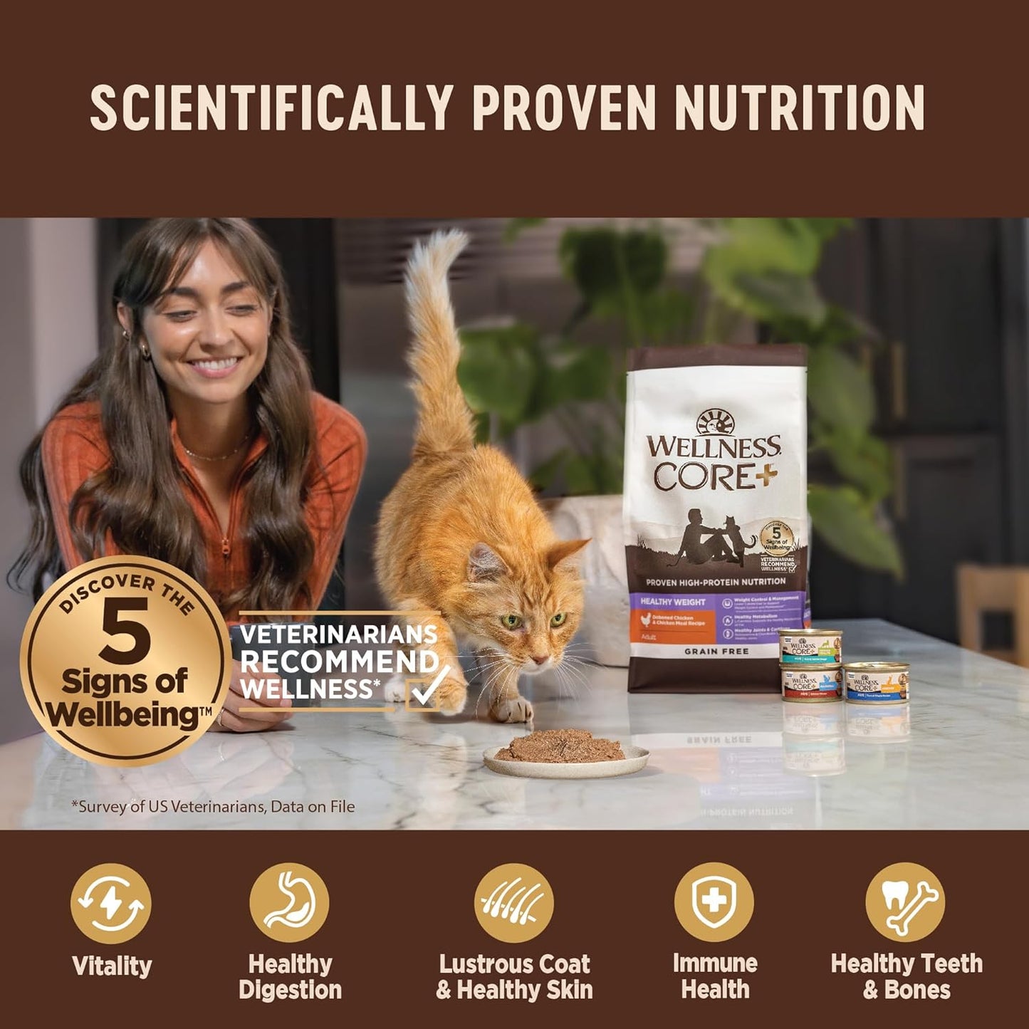 Wellness CORE+ Hairball Pate Adult Wet Cat Food, Natural, Protein-Rich, Grain Free, 2.8 Ounce, 12 Pack (Chicken)