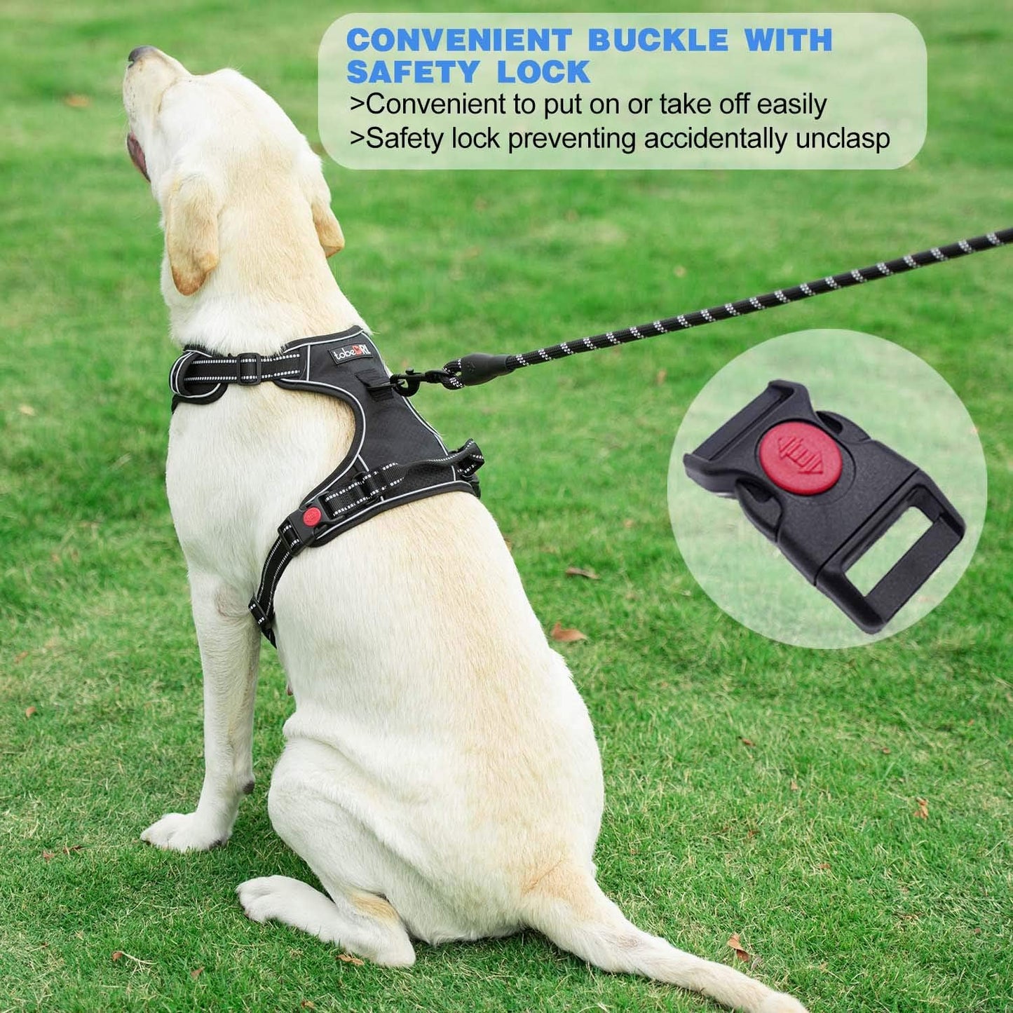 No Pull Dog Harness Adjustable Reflective Oxford Easy Control Medium Large Dog Harness with A Free Heavy Duty 5ft Dog Leash (L (Chest: 25.5"-31"), Purple Harness+Leash)