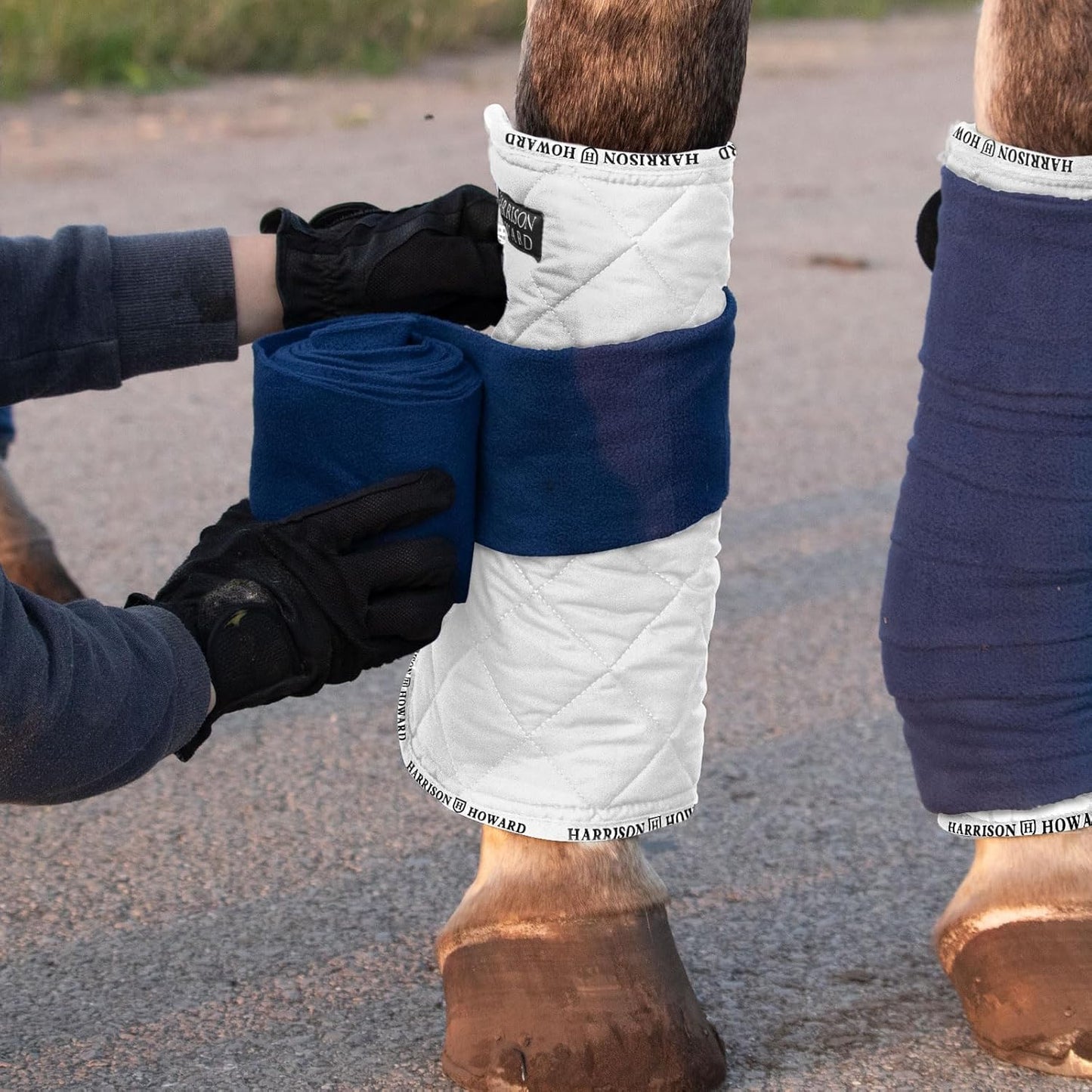 Harrison Howard Medicine-Retaining Shock-Absorbing Pressure Sores Prevention Quilted Leg Wraps for Horse Set of 4-White M