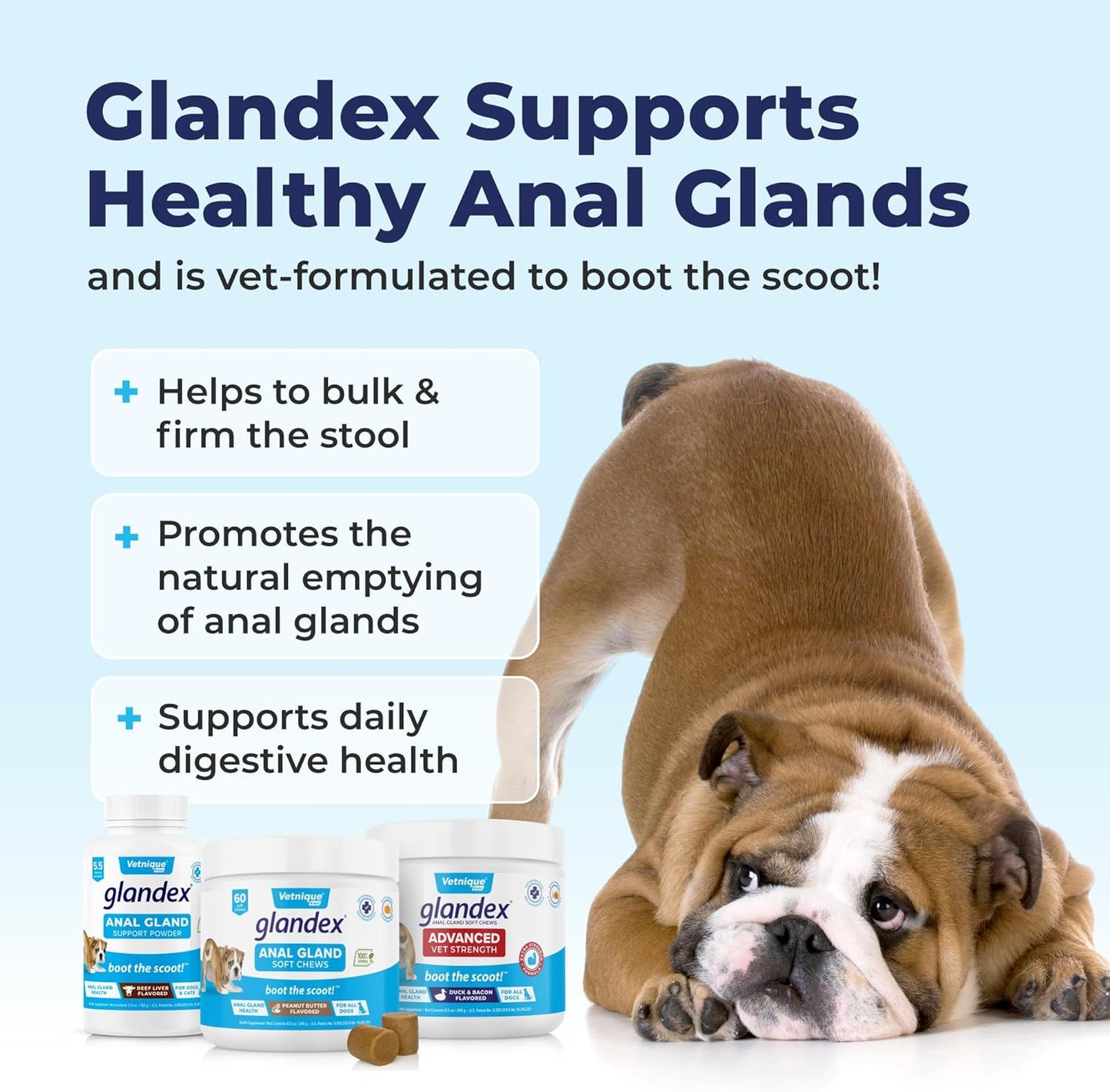 Vetnique Labs Glandex Dog Fiber Supplement Powder for Anal Glands with Pumpkin, Digestive Enzymes & Dog Probiotics for Digestive Health - Vet Recommended - Boot The Scoot (Pork Liver, 2.5oz Powder)
