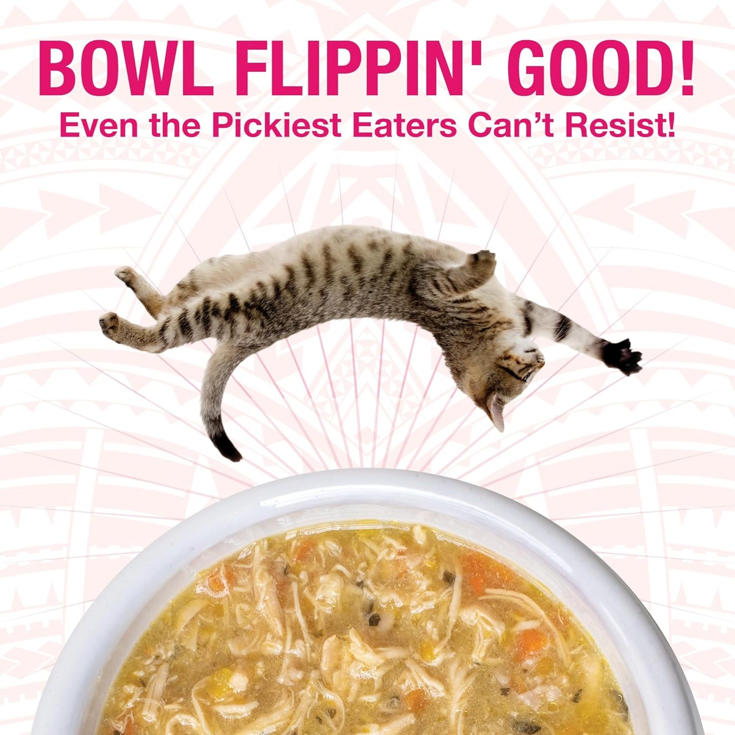 KOHA Pure Shreds Cat Variety Pack, High Protein Wet Cat Food - 5 Flavors - Beef, Duck, Chicken & Duck and Chicken & Salmon Food for Cats - 2.8 oz Cans, Pack of 12