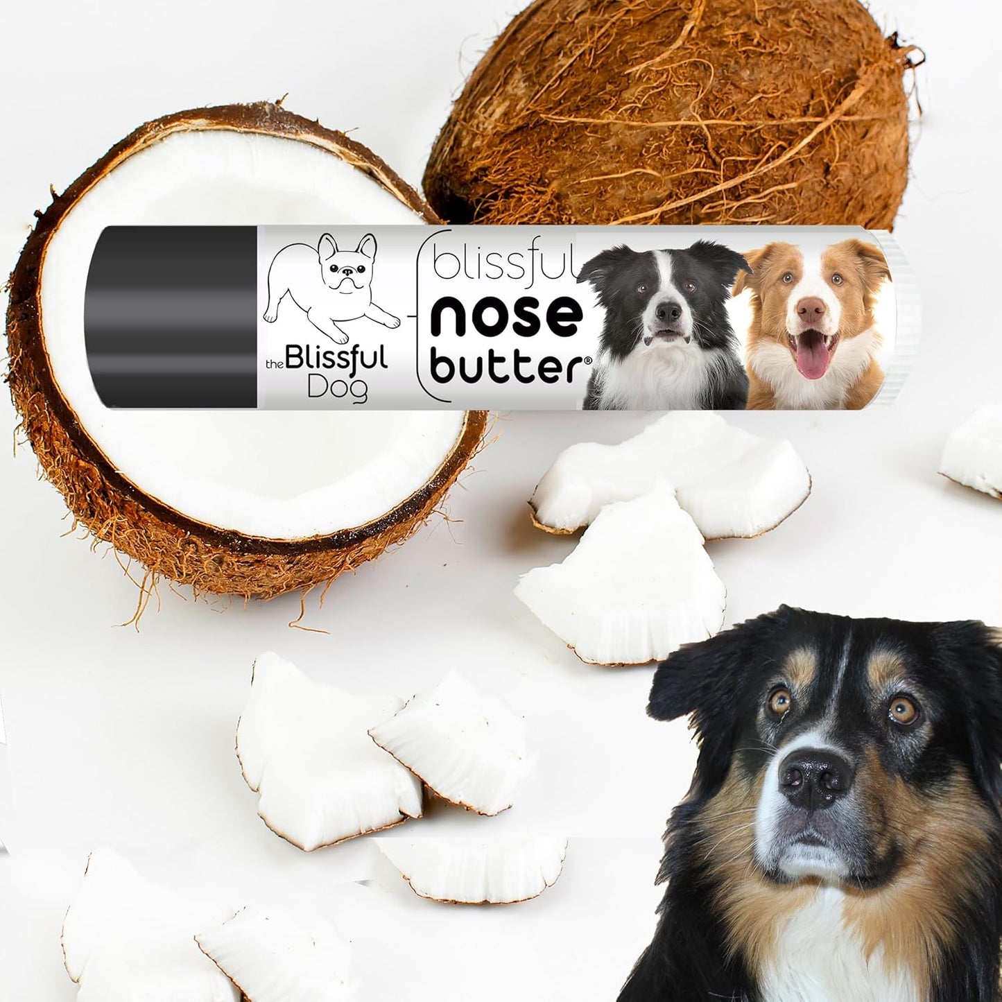 The Blissful Dog Border Collie Nose Butter for Dry, Cracked Skin, Lick-Safe Dog Nose Balm with Moisturizing Shea Butter, Almond, Olive, and Essential Oils, Pet Supplies, Uncented, 0.15 oz.