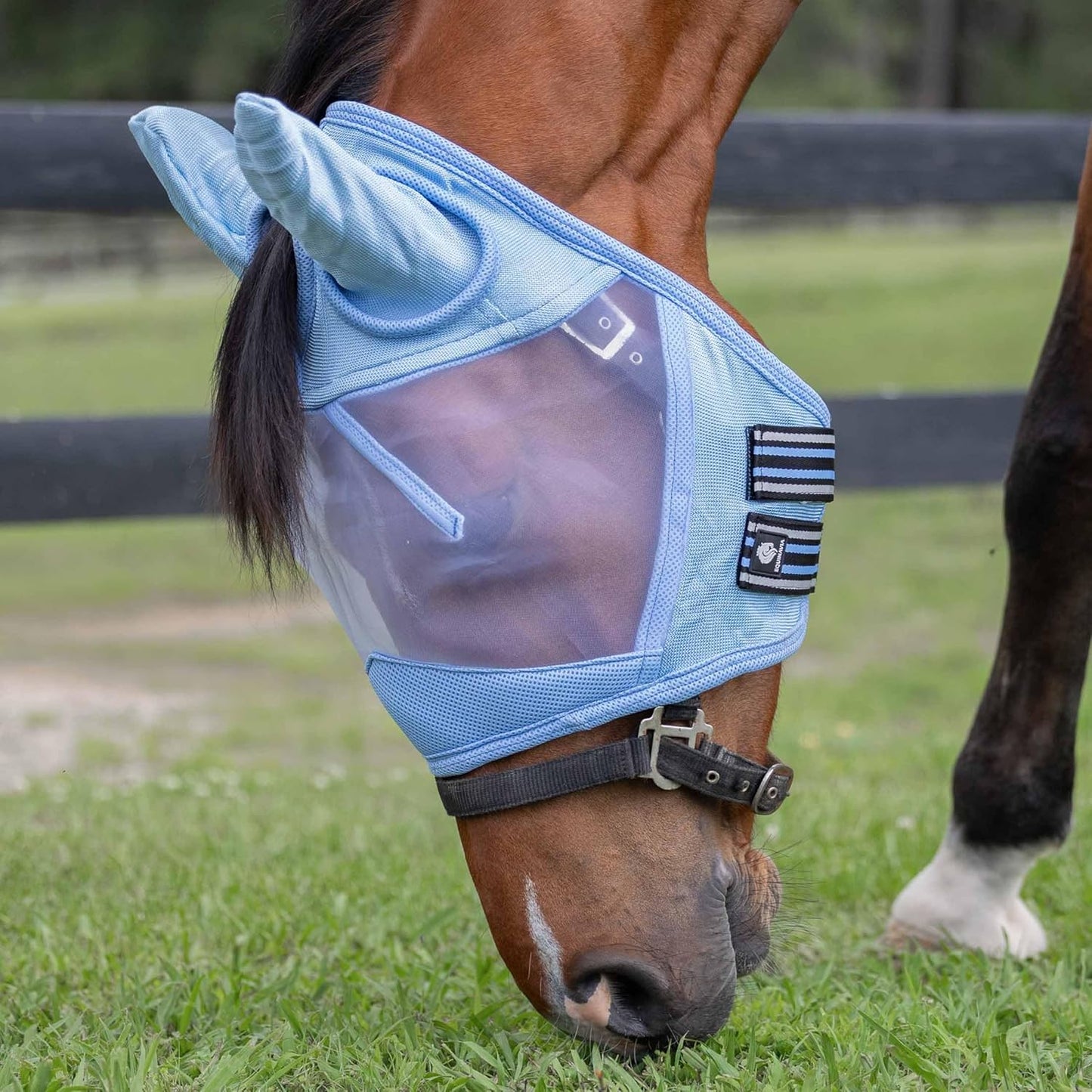 Equinavia Algard Soft Mesh Horse Fly Mask with Ear Protection and 45 UPF Rating | No Eye Irritation & UV Protection - Light Blue - Warmblood