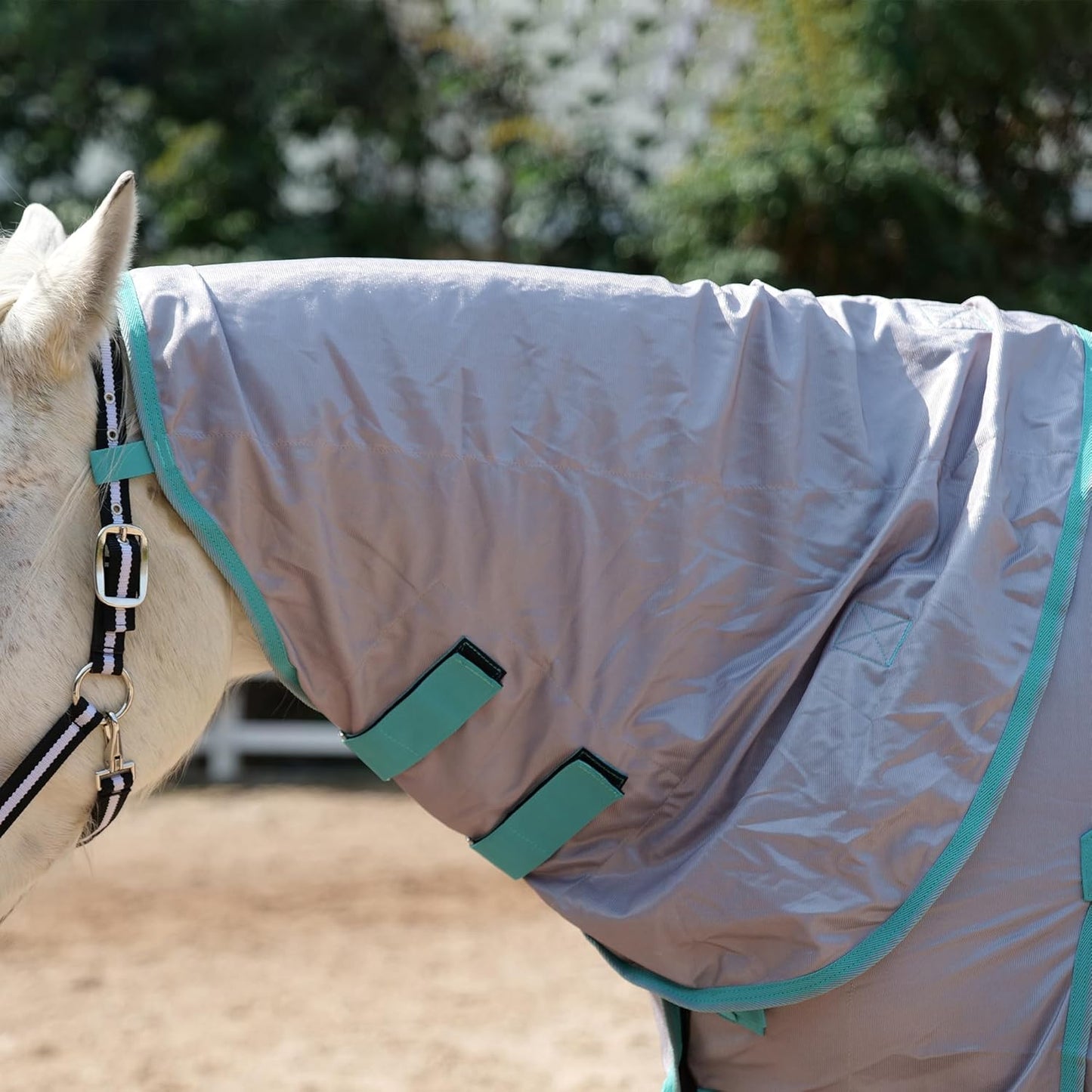 Horse Fly Sheet with Detachable Neck Cover & Belly Wrap, Adjustable Fly Sheet for Horses, Ventilated Airflow Mesh Equine Cooling Summer Flysheet Grey 66