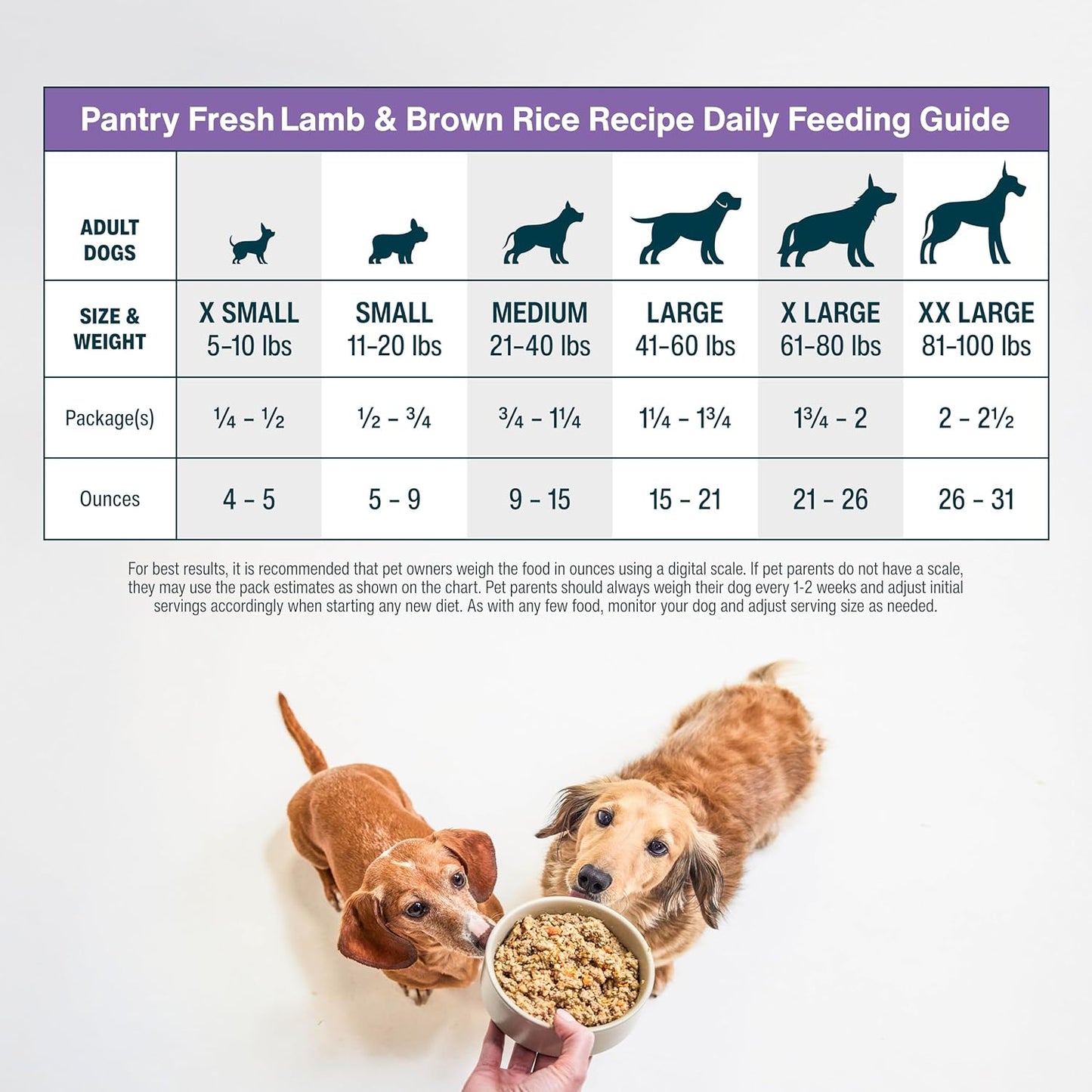 JustFoodForDogs Pantry Fresh Wet Dog Food, Complete Meal or Dog Food Topper, Lamb & Brown Rice Human Grade Dog Food Recipe - 12.5 oz (Pack of 12)