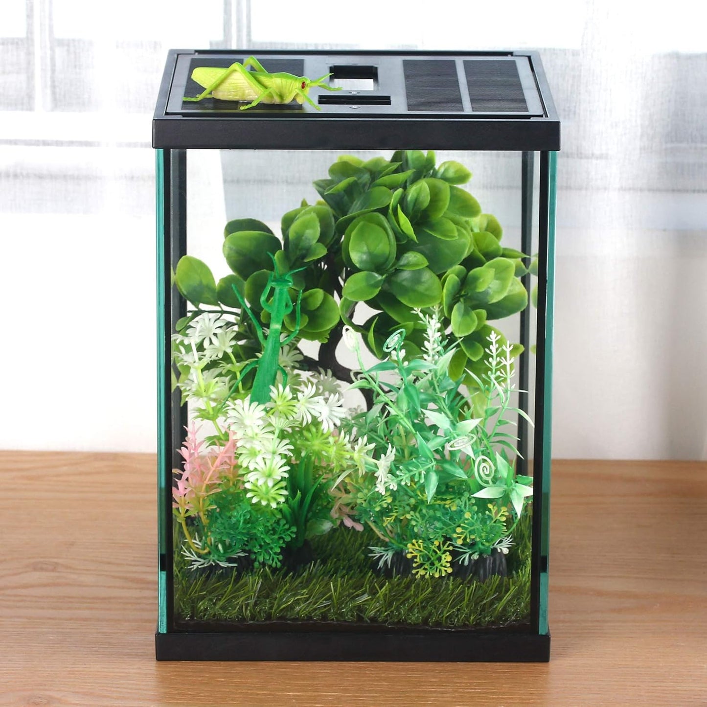 crapelles Black Small Vertical Insect GlassTerrarium, 7.8x7.8x10.8'' Reptile Tank, for Tarantula Larvae Caterpillar Frog Snail Spider Hermit Crab Habitat Container House Cricket Breeding Box