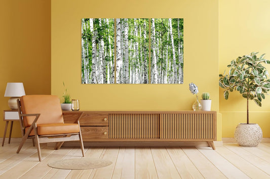 Nature Wall Art Prints - Ocean Forest Mountain Lake Canvas Landscapes - Small to Extra Large Living Room Bedroom Kitchen Bathroom Décor (Green Brich Trees, 31L" x 47W" - 3 Panels)