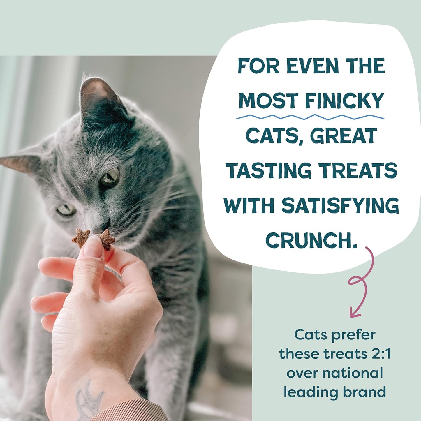 Shameless Pets Crunchy Cat Treats - Kitty Treats for Cats with Digestive Support, Natural Kitten Treats with Real Chicken, Healthy Flavored Feline Snacks - Cran You Say Chicken, 12 oz