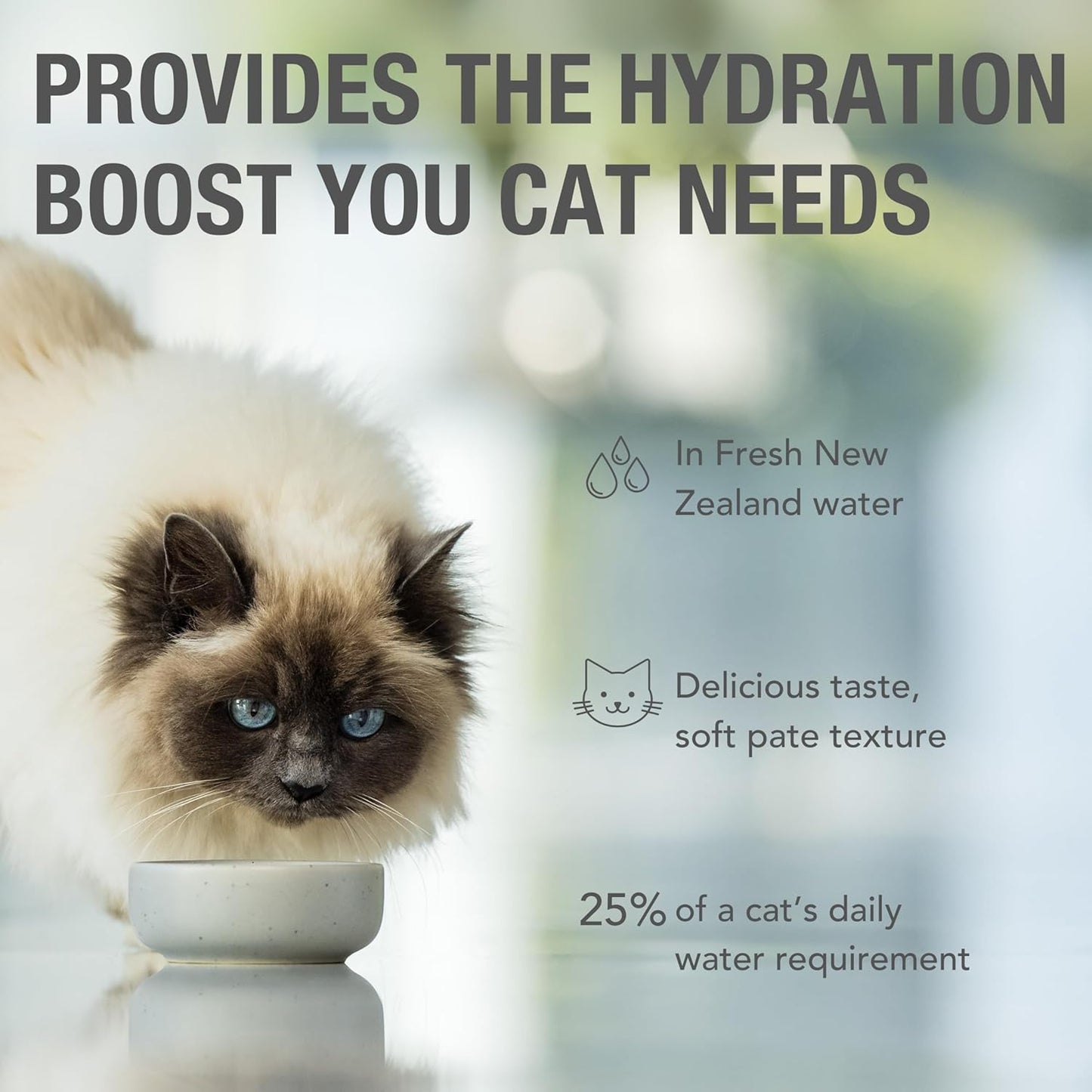 Feline Natural Wet Cat Food Pouch - Hoki & Beef Feast, Grain-Free, Grass-Fed & Sustainably Sourced Wet Food for Cats - Made in New Zealand, 3oz Pate, 12 Count Pack