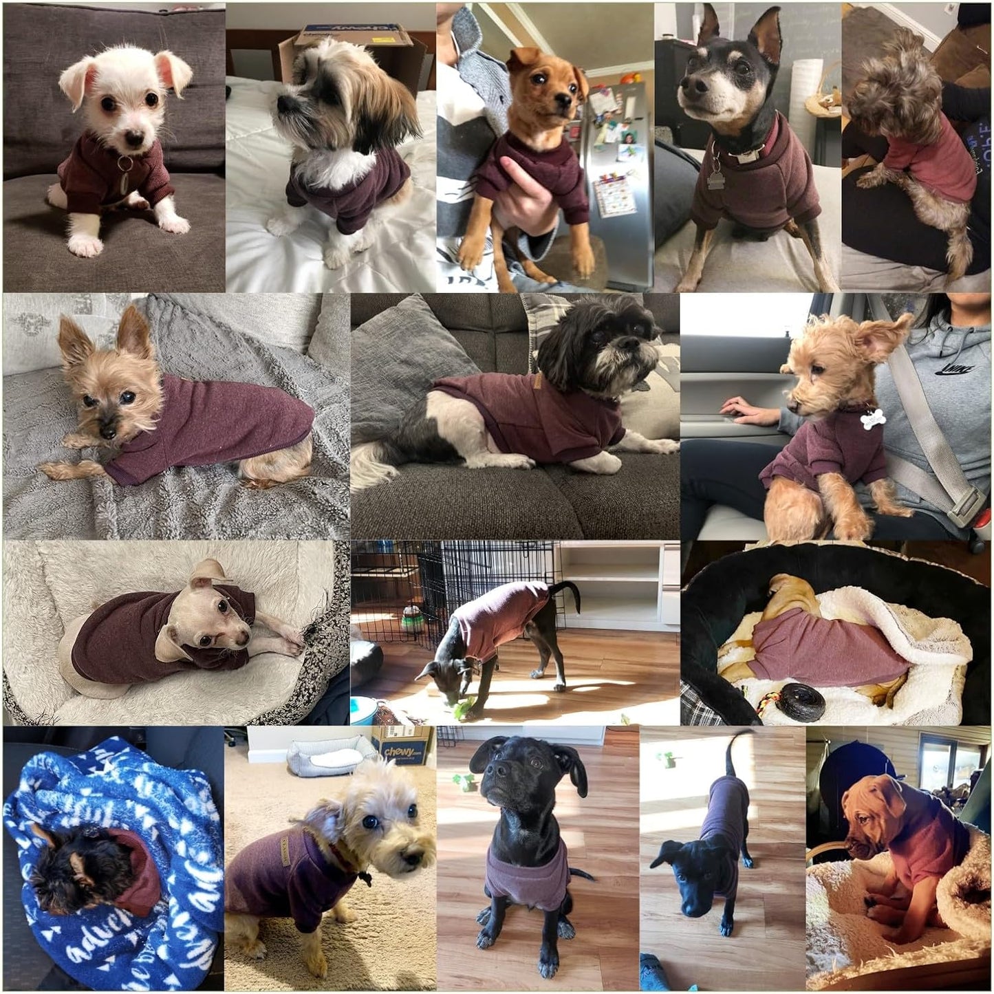 Jecikelon Dog Clothes Dogs Sweater Soft Puppies Clothing Winter Puppy Sweaters Warm Outfit for Dogs Small XXS XS Cat Apparel (Brown, L)