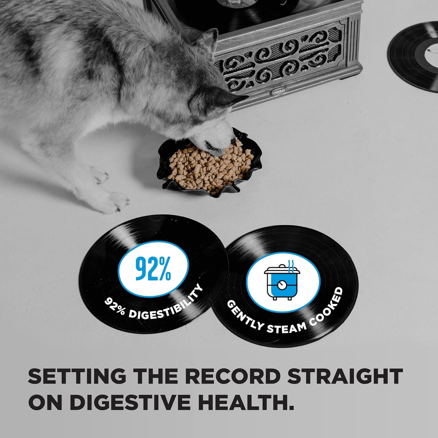 BIXBI Liberty Grain Free Dry Dog Food, Fisherman's Catch, 22 lbs - Fresh Fish, No Fish Meal - Gently Steamed & Cooked - No Soy, Corn, Rice or Wheat for Easy Digestion - USA Made