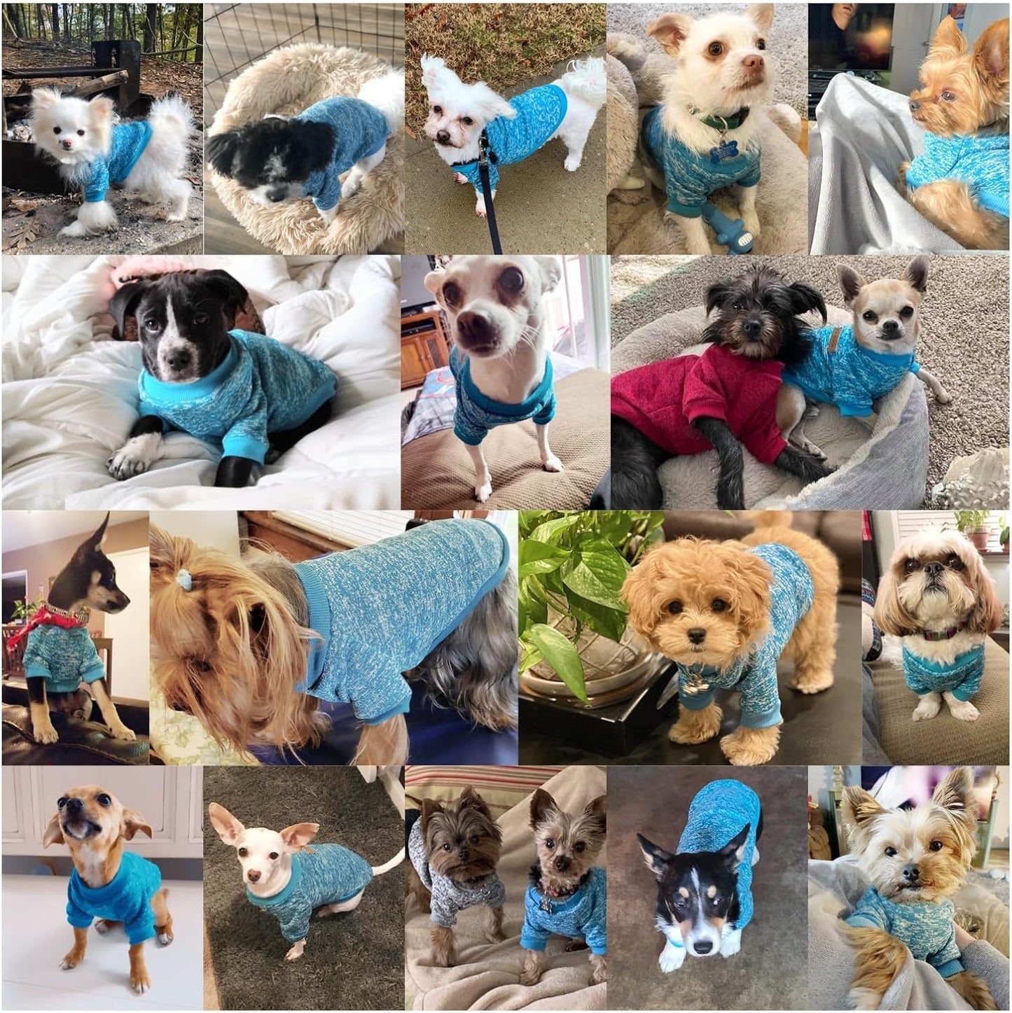 Jecikelon Dog Clothes Dogs Sweater Soft Puppies Clothing Winter Puppy Sweaters Warm Outfit for Dogs Small XXS XS Cat Apparel (Light Blue, L)