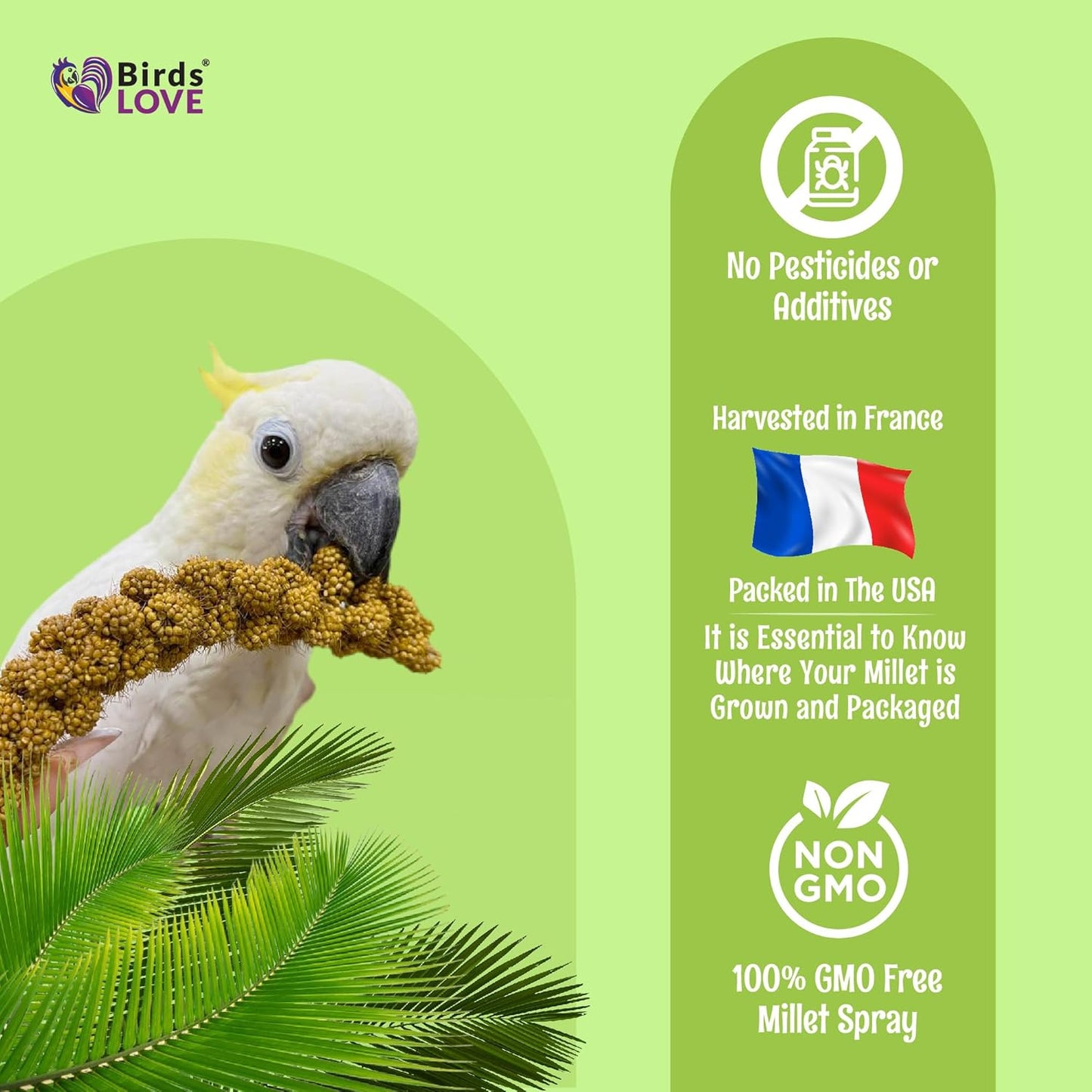 Birds LOVE French Kissed Spray Millet for Birds - Parakeets, Cockatiels, Lovebirds, Finches, Budgies, Canaries, Cockatoos - Natural & Healthy Bird Millet - Parakeet Food & Treats for All Parrots 5lbs