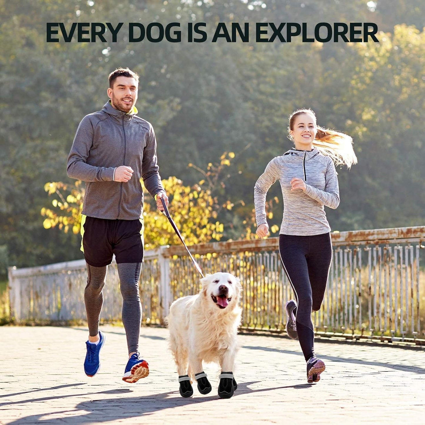 Hcpet Dog Boots for Large Dogs, Dog Shoes for Hot Pavement Winter Snow, Paw Protector Dog Booties Designed for Comfort and Breathability, Outdoor Booties for Small Medium Dogs for Hiking Black Size 3