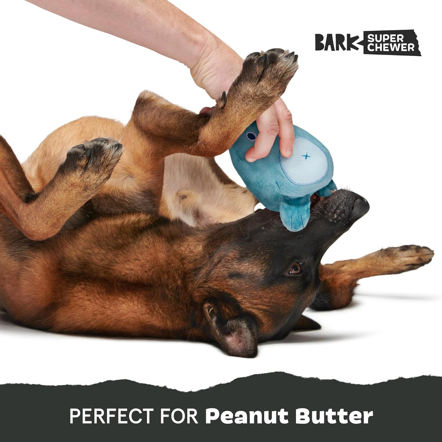 Barkbox Grey Bear Hugger Super Chewer 2-in-1 Plush Exterior Hard Core Plush Toy, Large Breeds