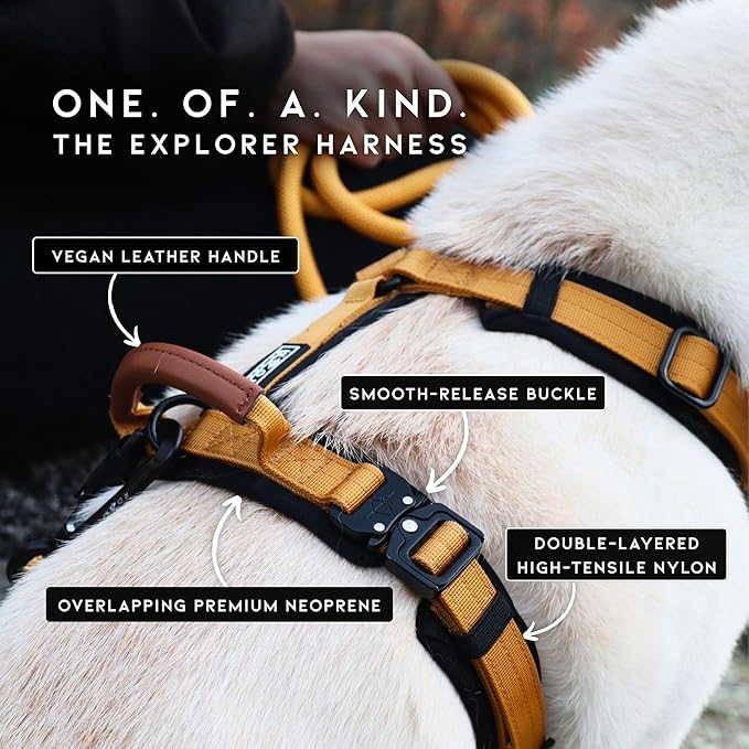 MADE TO ROAM Premium Explorer Harness - Y-Shaped Dog Harness with Adjustable Durable Nylon, Soft Padding, Metal Buckles and Leather Handle for Small, Medium, Large Dogs (Washington Rain, Size 6)