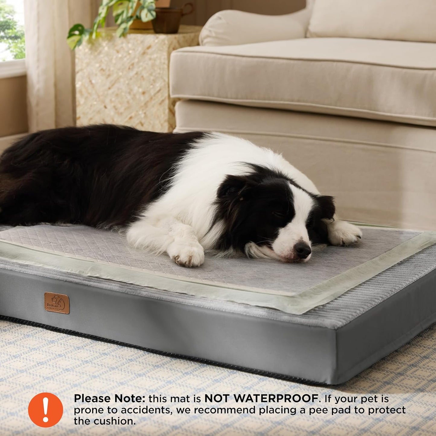 Bedsure Dog Beds Large Sized Dog- Orthopedic Pet Beds with Removable Machine Washable Cover, Egg Crate Foam Puppy Pad, Suitable for Pet Up to 50 lbs, 35"x22"