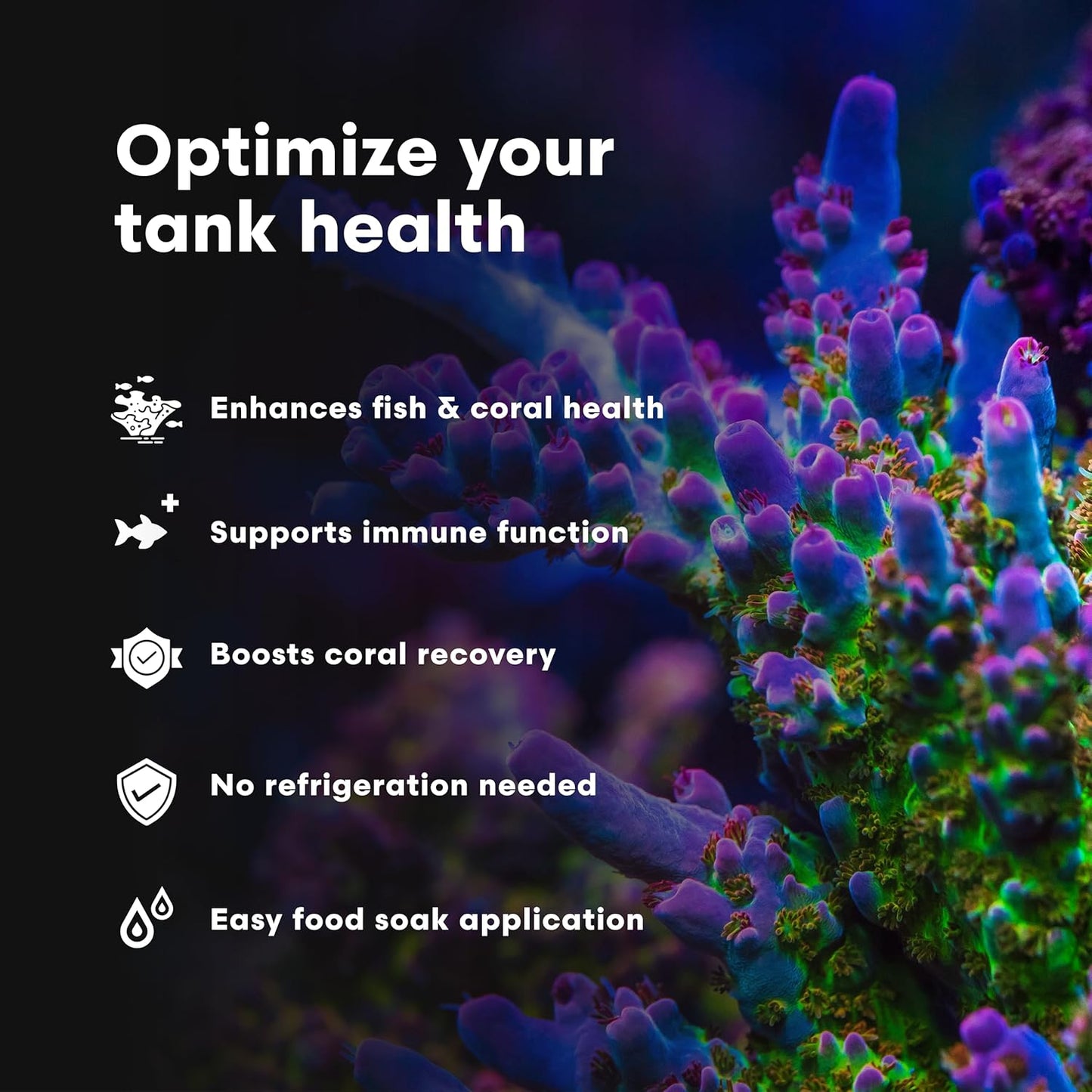 Brightwell Aquatics Vitamarin-M – Complete Vitamin Supplement for Marine Fish, Corals & Invertebrates – Supports Growth, Color & Immune Health – No Refrigeration, 250 ml