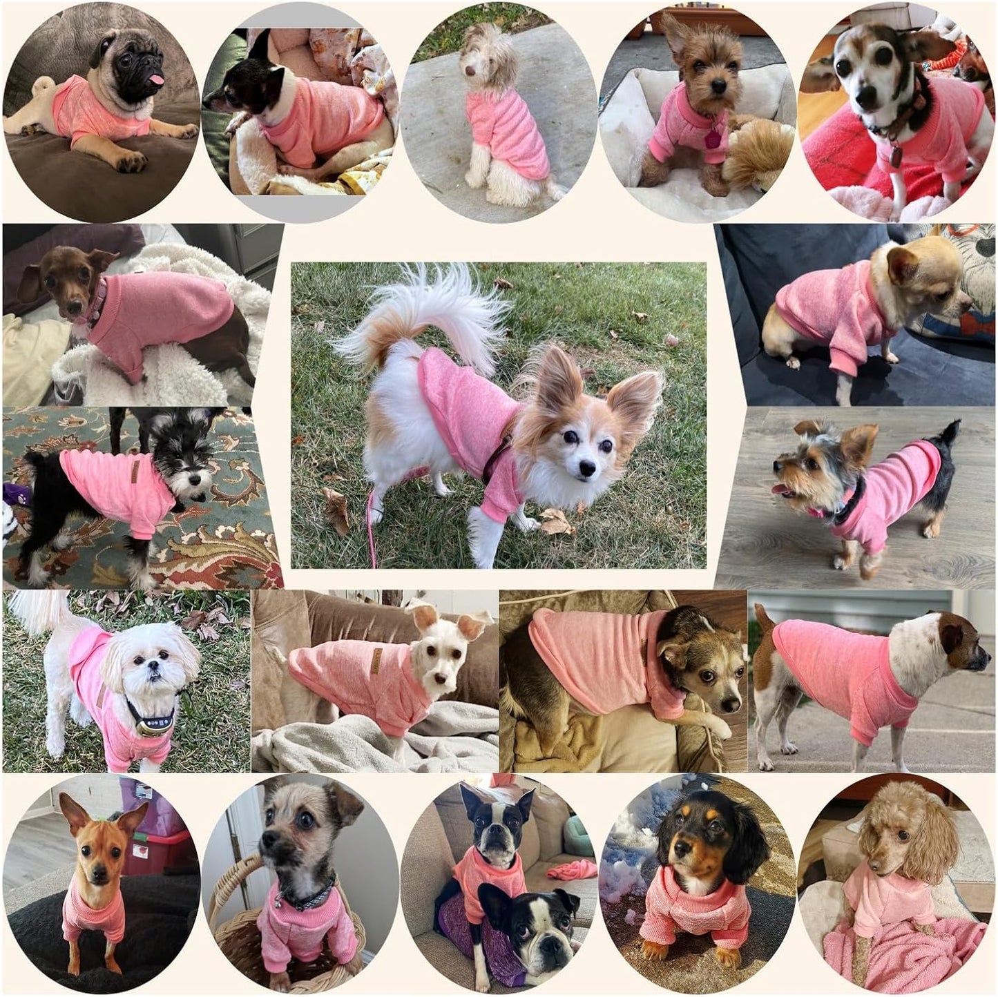 Jecikelon Dog Clothes Dogs Sweater Soft Puppies Clothing Winter Puppy Sweaters Warm Outfit for Dogs Small XXS XS Cat Apparel (Pink, M)