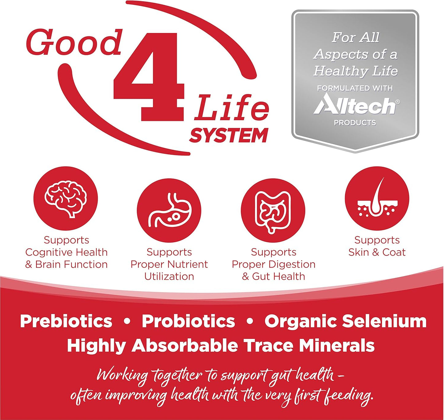 NutriSource Dry Dog Food for Large Breeds, Beef and Rice, 26LB