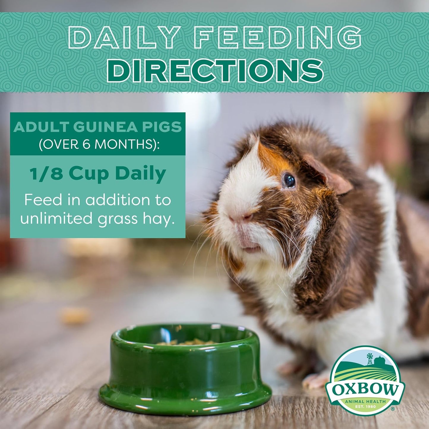 Oxbow Essentials Adult Guinea Pig Food - All Natural Adult Guinea Pig Pellets- No Artificial Ingredients- Veterinarian Recommended- All Natural Vitamins & Minerals- Made in the USA - 25 lb.