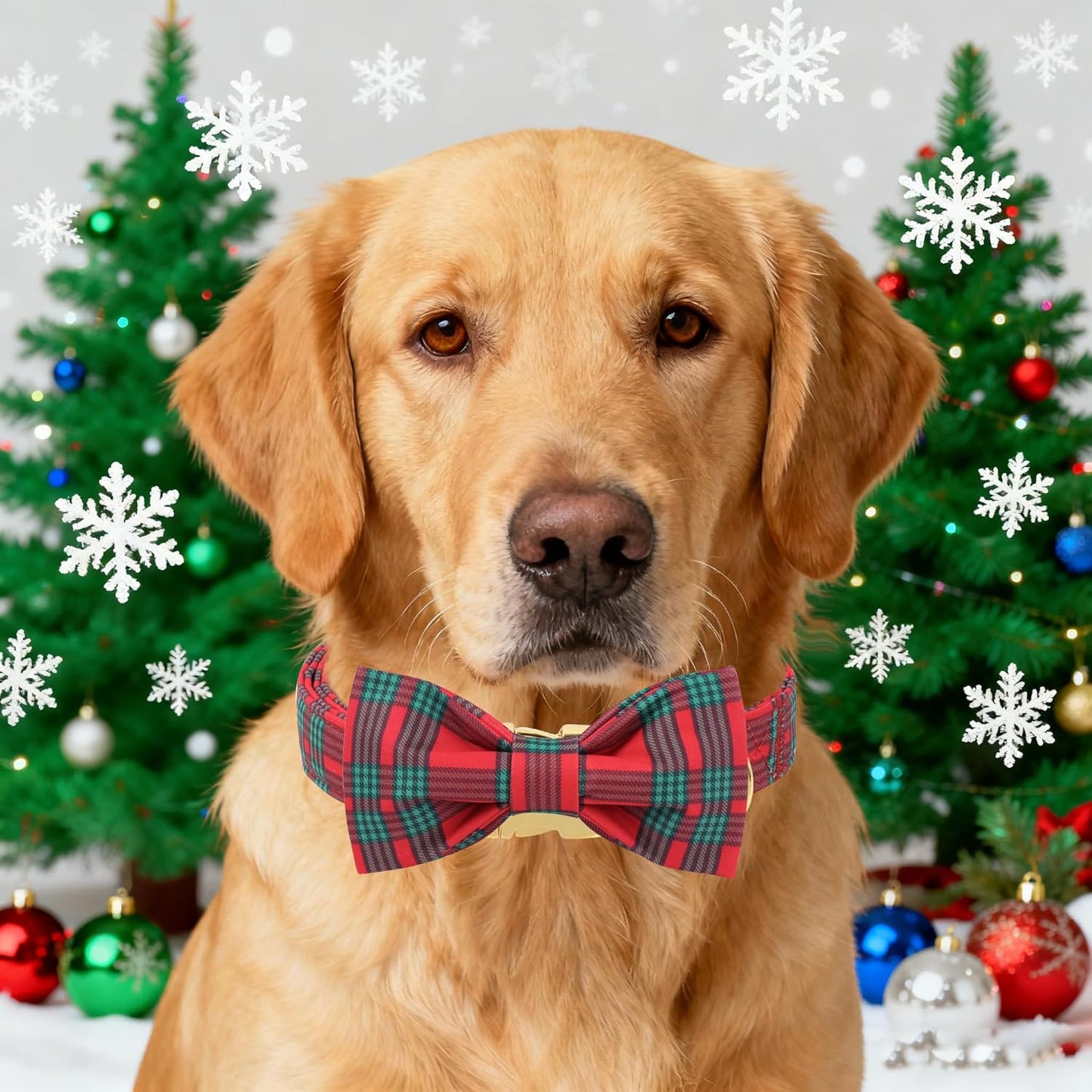 Unique Style Paws Christmas Dog Collar with Bow Red Green Plaid Cotton Puppy Collars for Small Medium Large Dogs