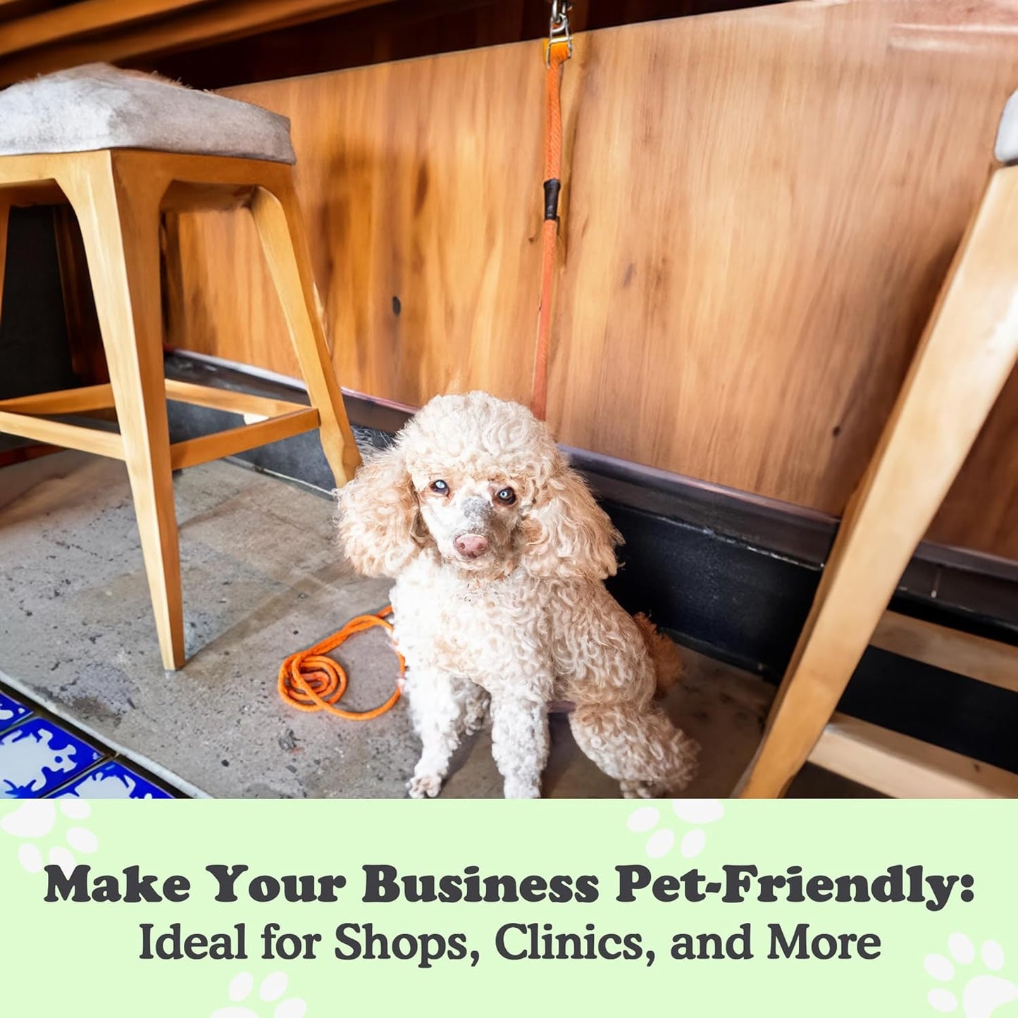 Canine Hitch- Secure Dog Leash Parking Wall Slim Hook with Clip 6 Pack - Tie Out Stainless Steel & ABS Mounting Plate for Strength - Practical Lead Management for Home & Business