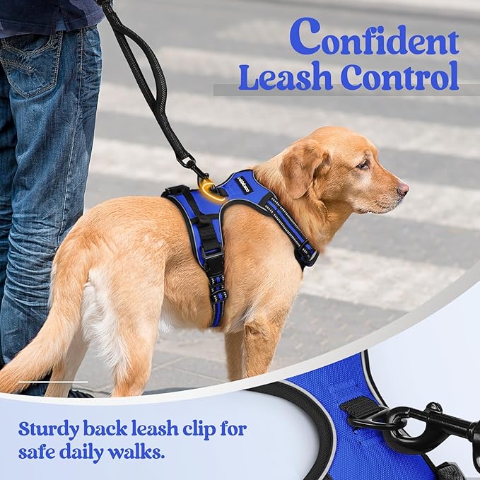 rabbitgoo Dog Harness No Pull with 2 Leash Clips, Adjustable Soft Padded, Reflective Oxford No Choke Pet Vest with Easy Control Handle for Small Dogs, Dazzling Blue, S