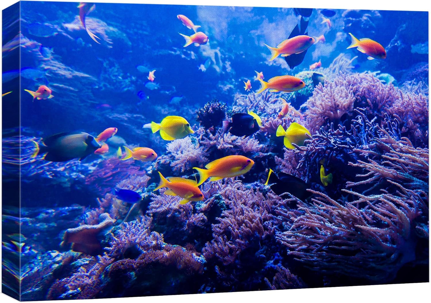 wall26 Canvas Print Wall Art Purple Blue Vibrant Anemone Coral Reef Fish Nature Animals Photography Realism Rustic Scenic Landscape Wilderness Colorful for Living Room, Bedroom, Office - 32"x48"