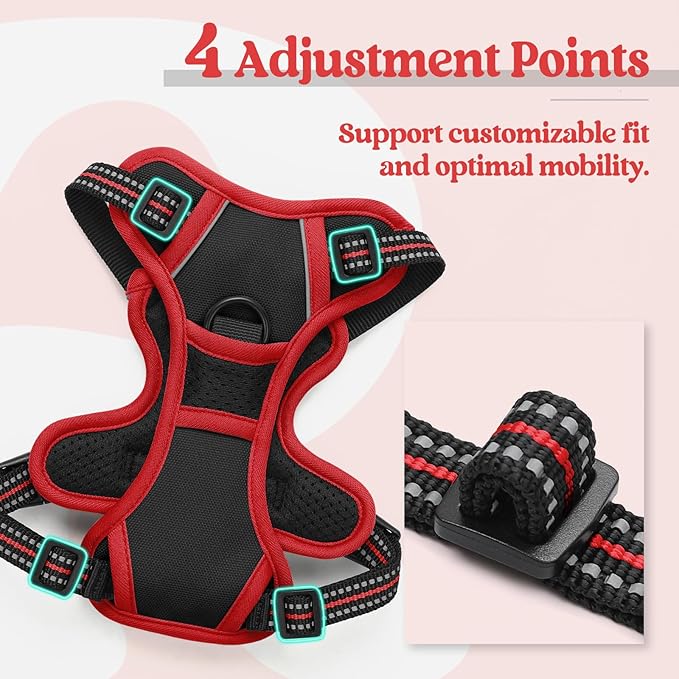 rabbitgoo Dog Harness No Pull with 2 Leash Clips, Adjustable Soft Padded, Reflective Oxford No Choke Pet Vest with Easy Control Handle for Puppy, Black & Red, XS