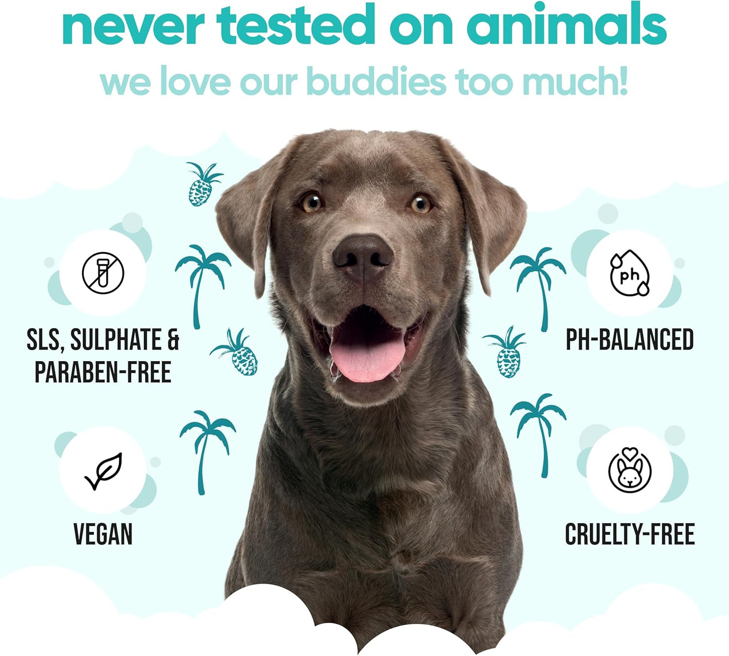 Tropical Dog Shampoo by Buddycare | Deep Cleansing Shampoo for Dogs | Tropical Scented | with Aloe Vera and Pro Vitamin B5 (50.72oz)