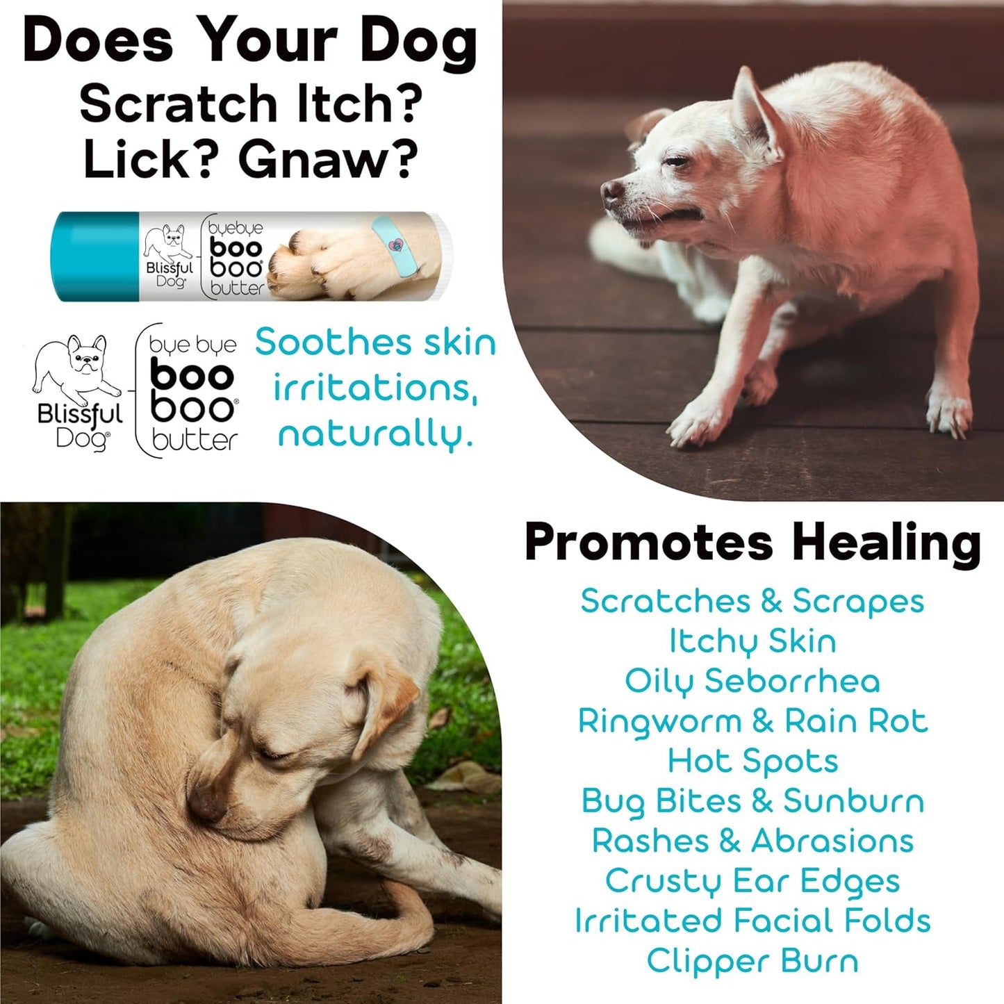 The Blissful Dog 4 oz TIN Cocker Spaniel Booboo Butter