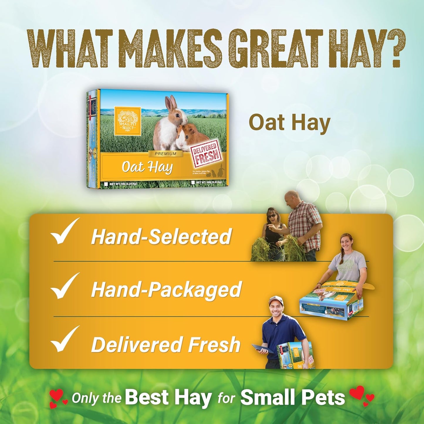 Small Pet Select Oat Hay Pet Food, 5 Lb.