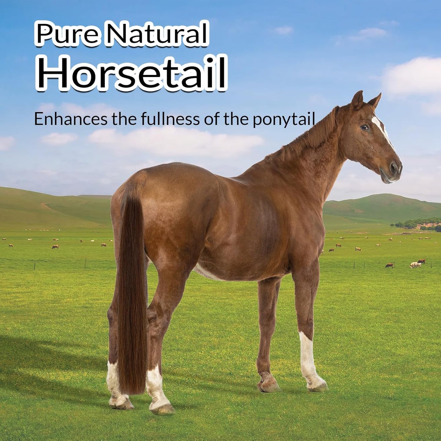 Horse Tail Extension with Braided Horsehair Loop, Blunt Cut Bottom, 3/8 lb, 28-30 inches (chestnut)