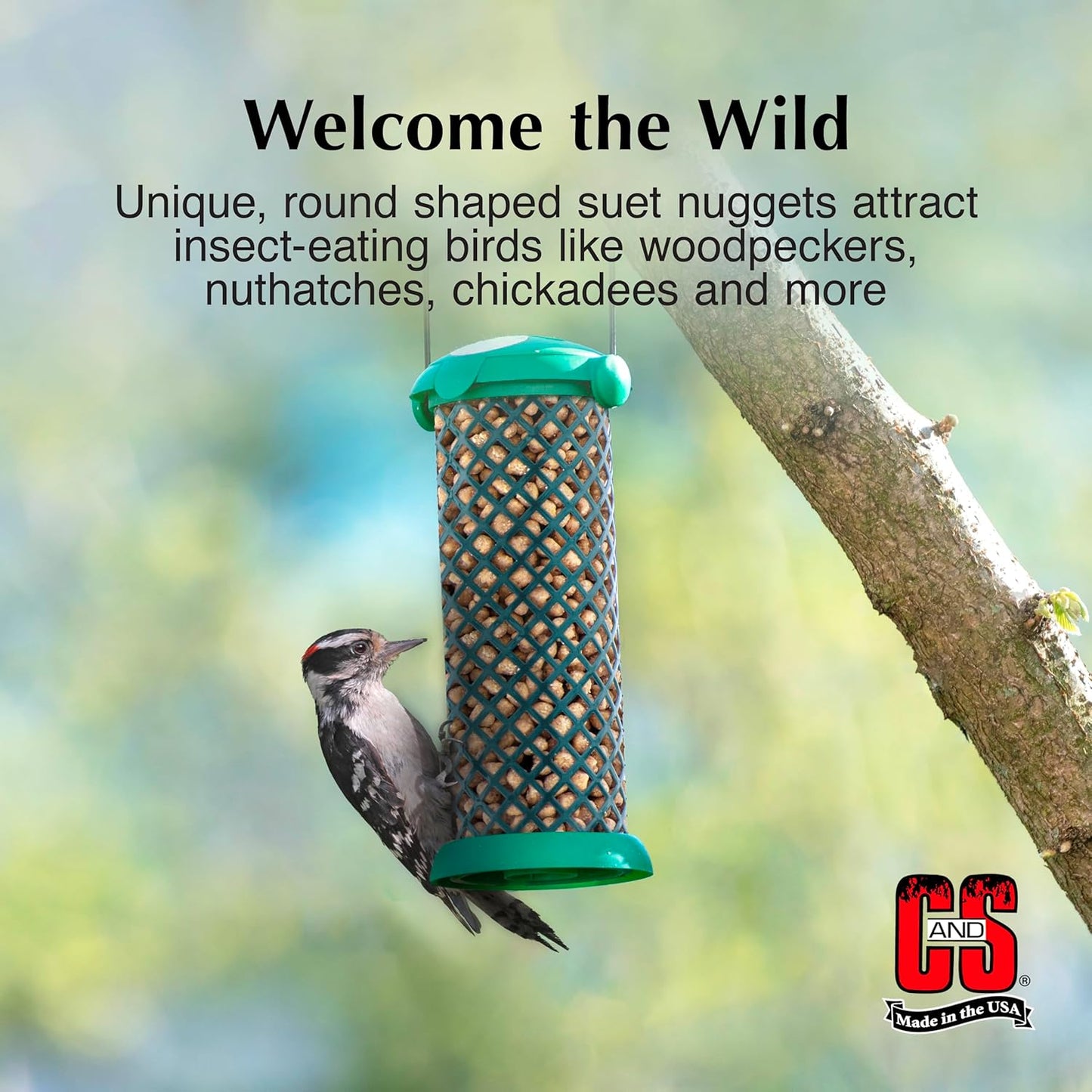 C&S Wild Bird Woodpecker Suet Nuggets Mega Box, 8 Pounds