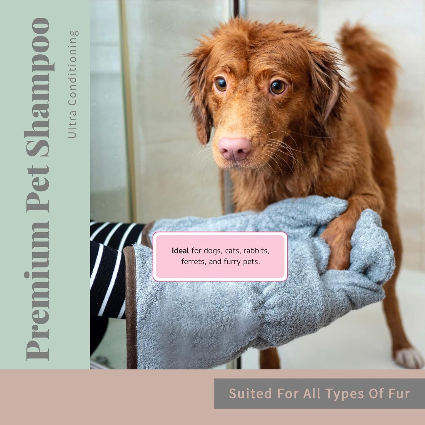 Begley's No Rinse Waterless Pet Shampoo, Bathless Cleaning, Deodorizing, and Odor Removal for a Shiny, Fresh Smelling Coat - Effective for Dogs, Puppies, and Cats - Refill, Fresh Lavender