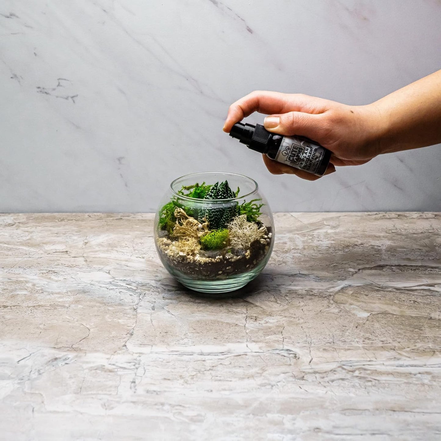 Cute Farms Glass Terrarium Kit | Just Add Your Own Plants (One Glass Bowl)