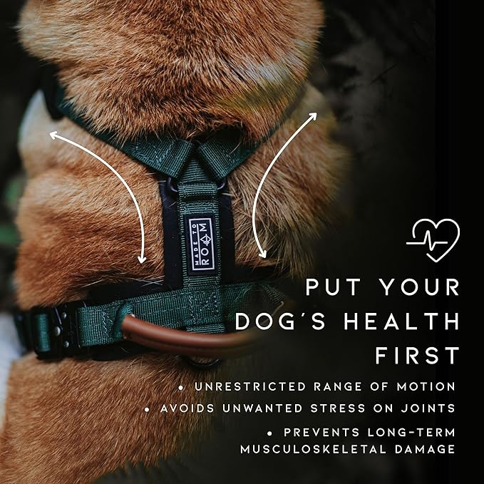MADE TO ROAM Premium Explorer Harness - Y-Shaped Dog Harness with Adjustable Durable Nylon, Soft Padding, Metal Buckles and Leather Handle for Small, Medium, Large Dogs (Oregon Haze, Size 3)
